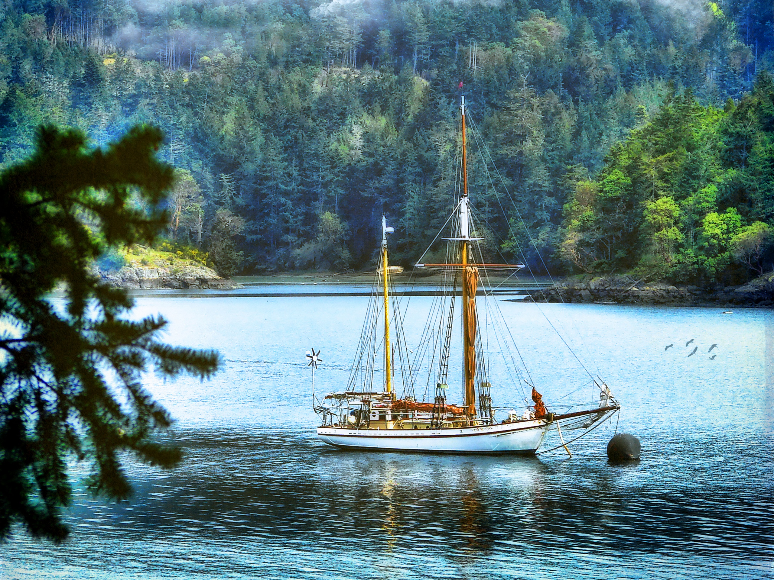 photography, hdr, boat, forest, green, lake, sailboat
