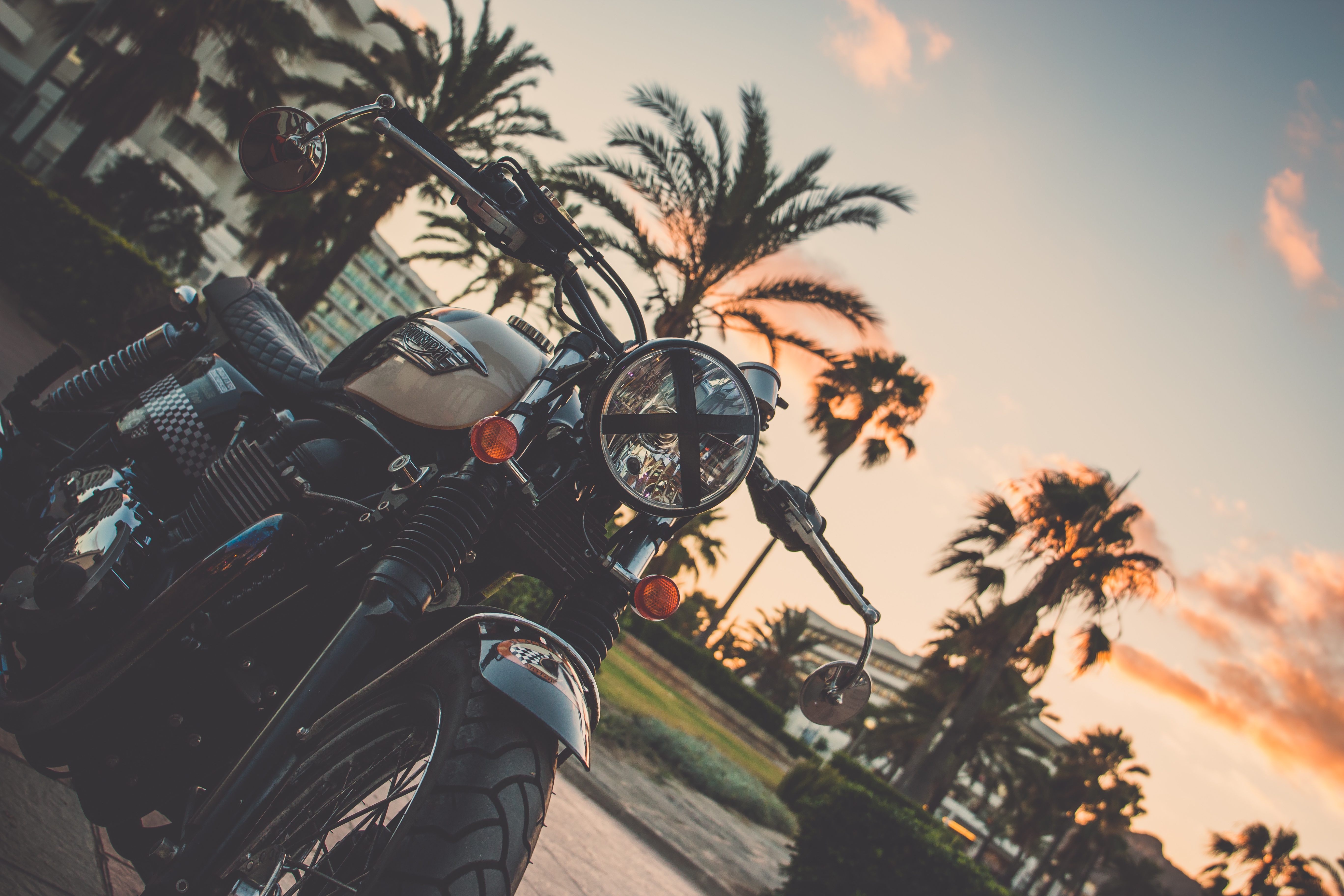 101203 Hintergrundbild herunterladen motorräder, palme, palm, motorrad, fahrrad - Bildschirmschoner und Bilder kostenlos