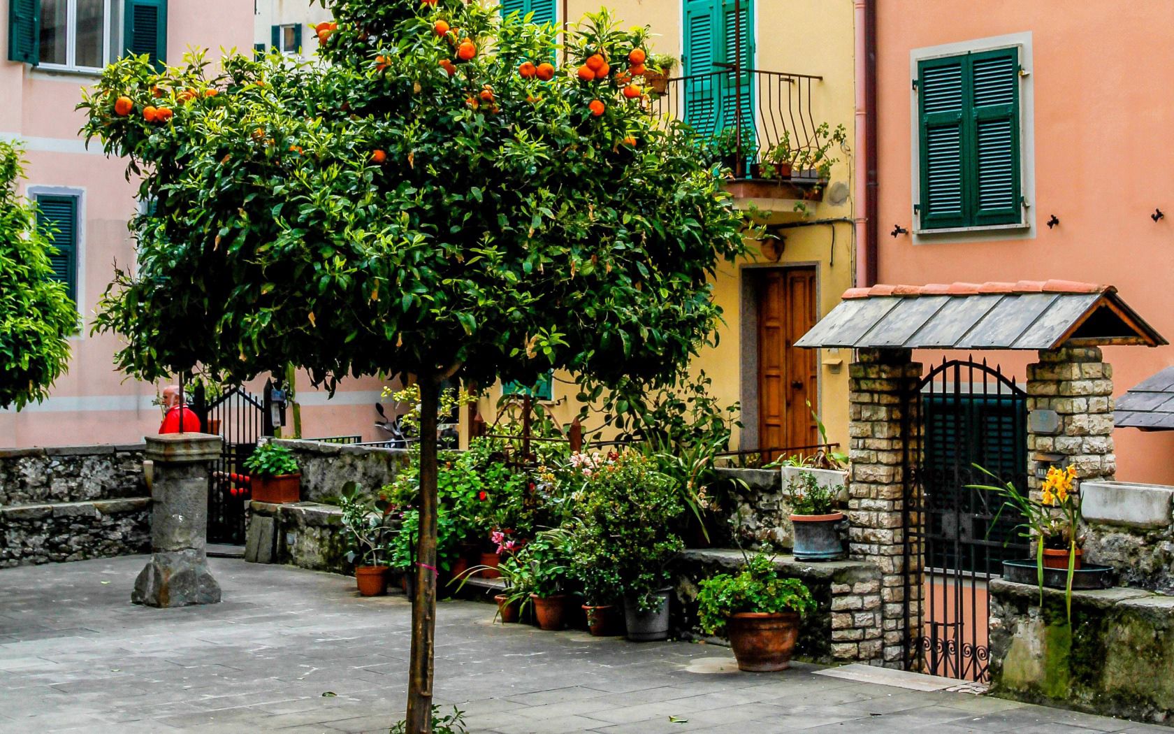 Laden Sie das Italien, Städte, Gebäude, Straße, Street, Cinque Terre-Bild kostenlos auf Ihren PC-Desktop herunter