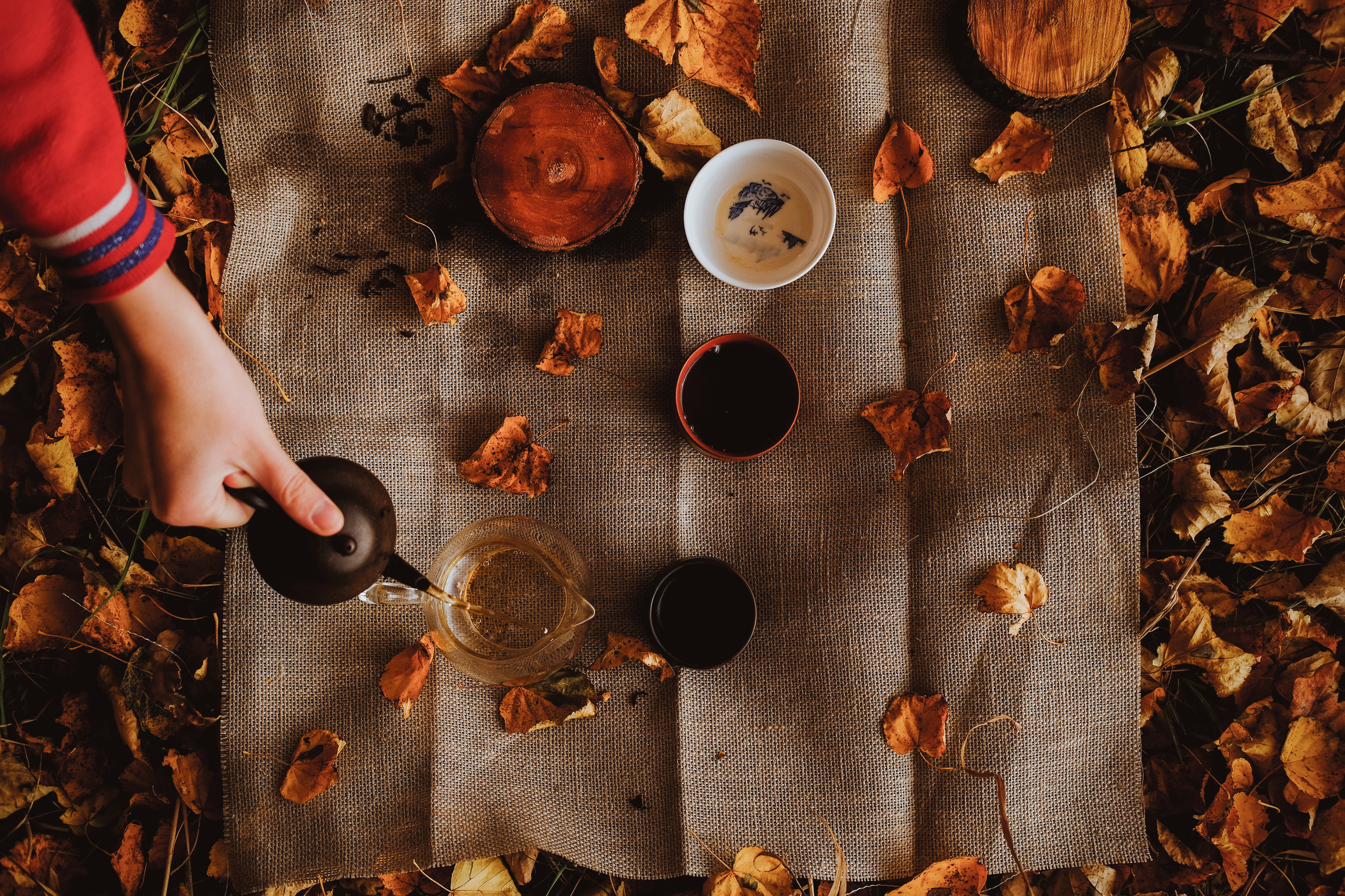 autumn, hand, miscellanea, miscellaneous, tea, teapot, kettle, picnic