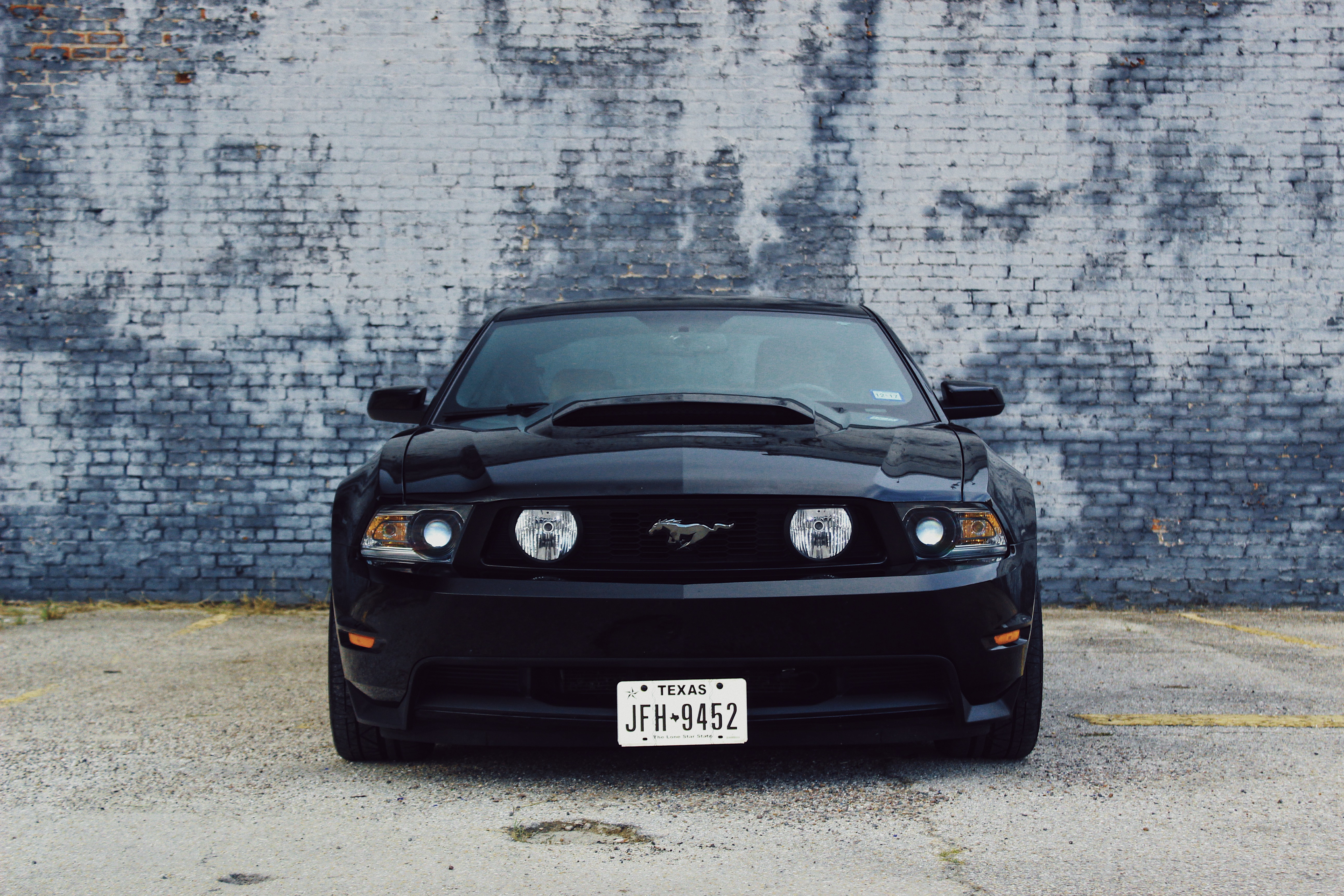 ford mustang, car, cars, black, front view HD wallpaper