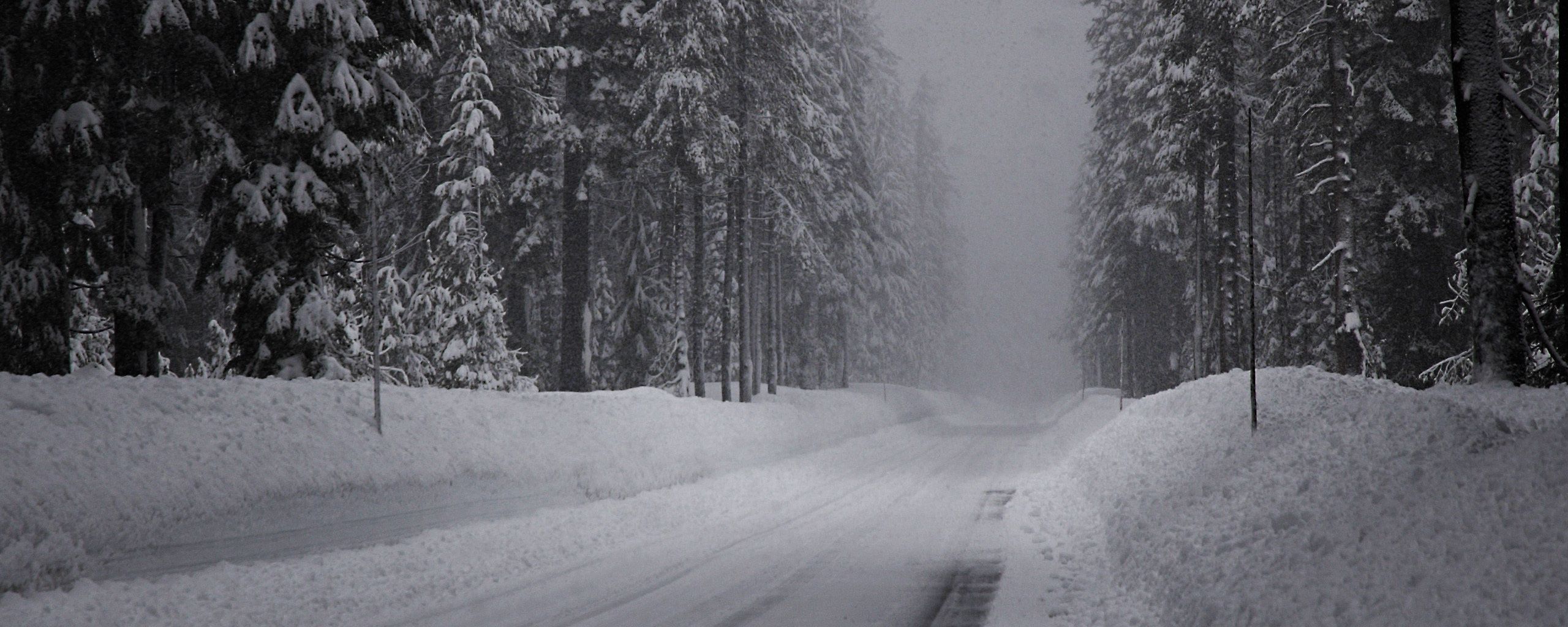 110956 Salvapantallas y fondos de pantalla Nieve en tu teléfono. Descarga imágenes de elnik, invierno, camino, el año gratis