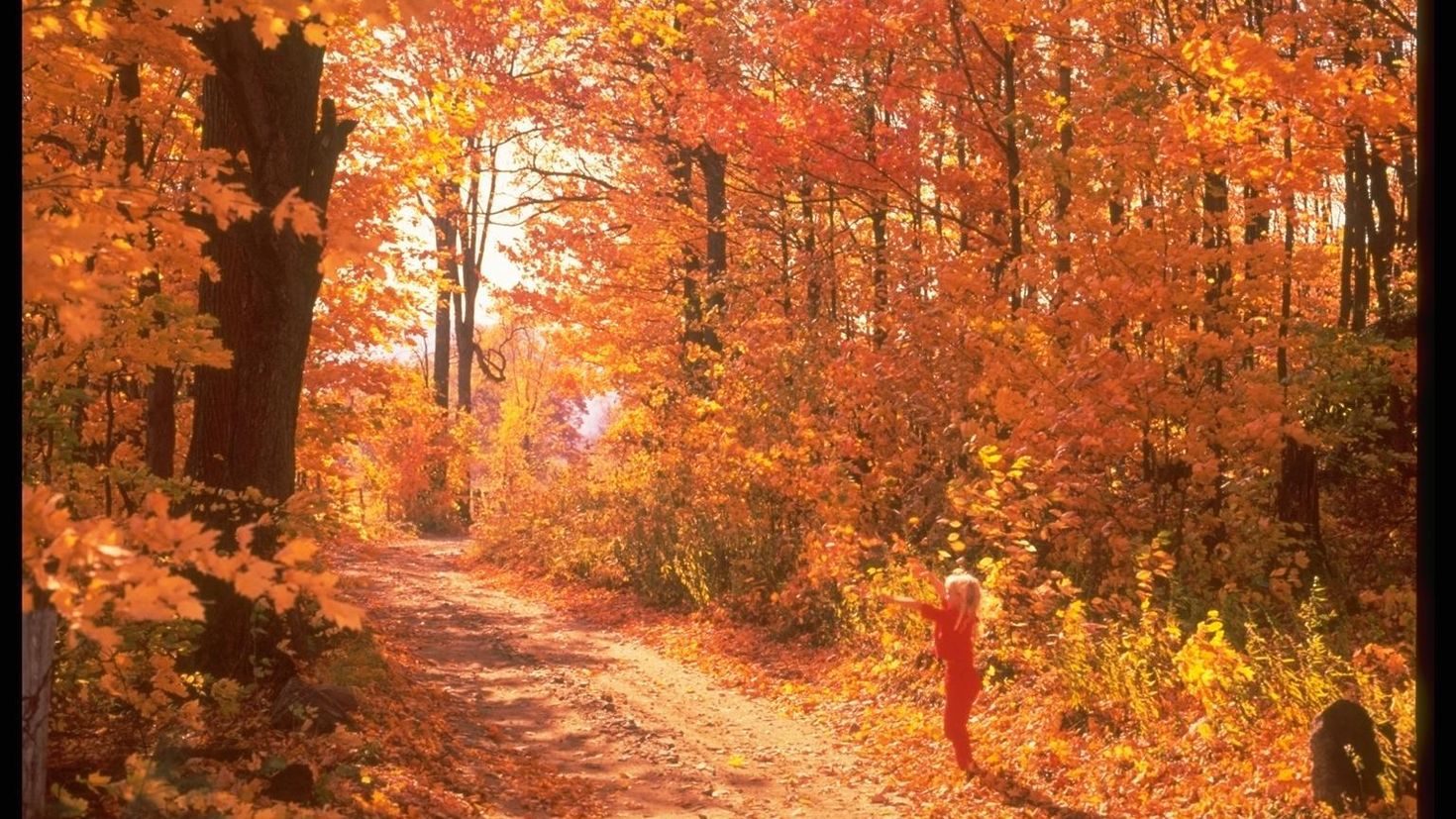 Autumn vondoe