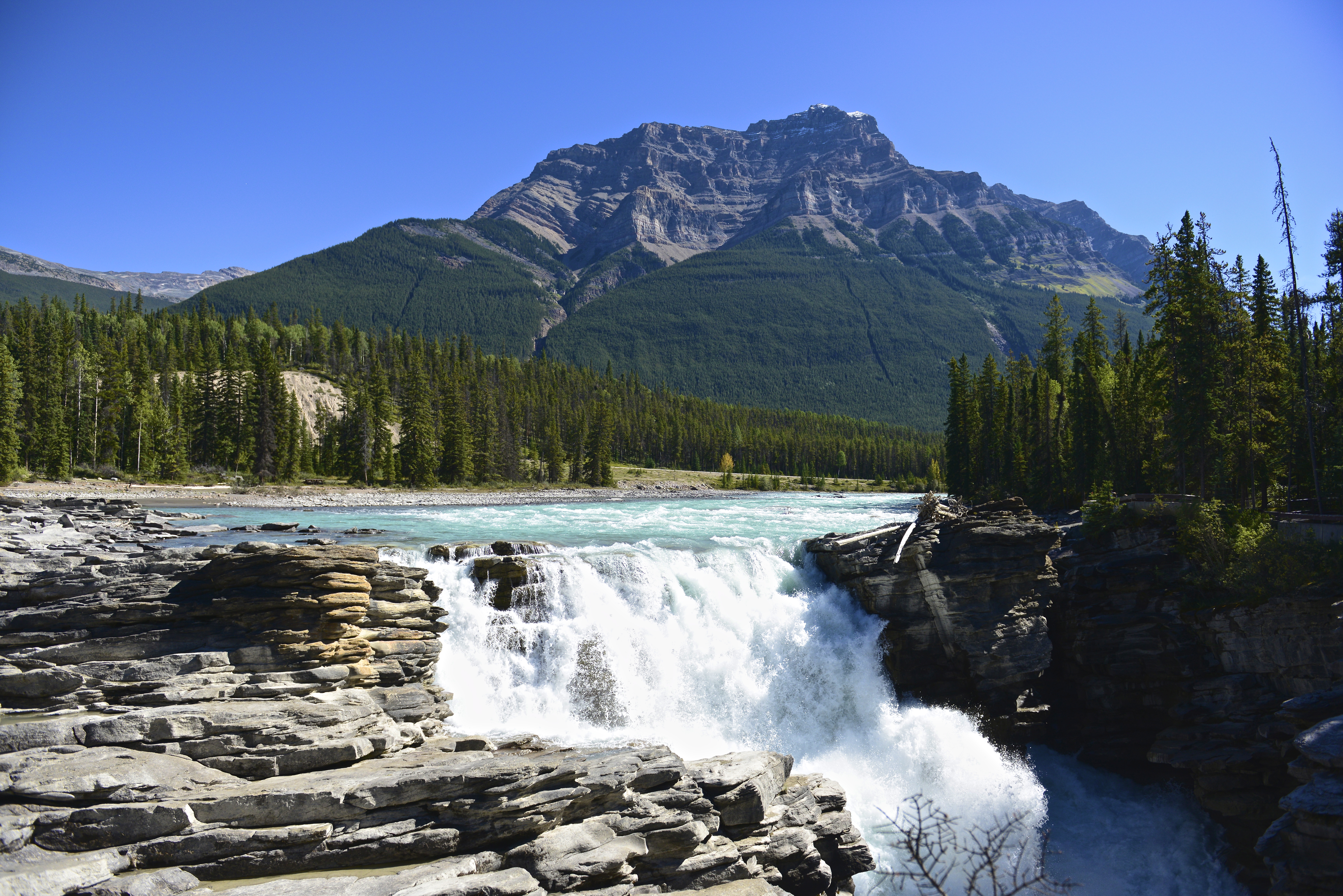 HD desktop wallpaper: Nature, Waterfalls, Mountain, Canada, Waterfall,  Forest, Earth, River, Athabasca Falls, Jasper National Park download free  picture #1525159