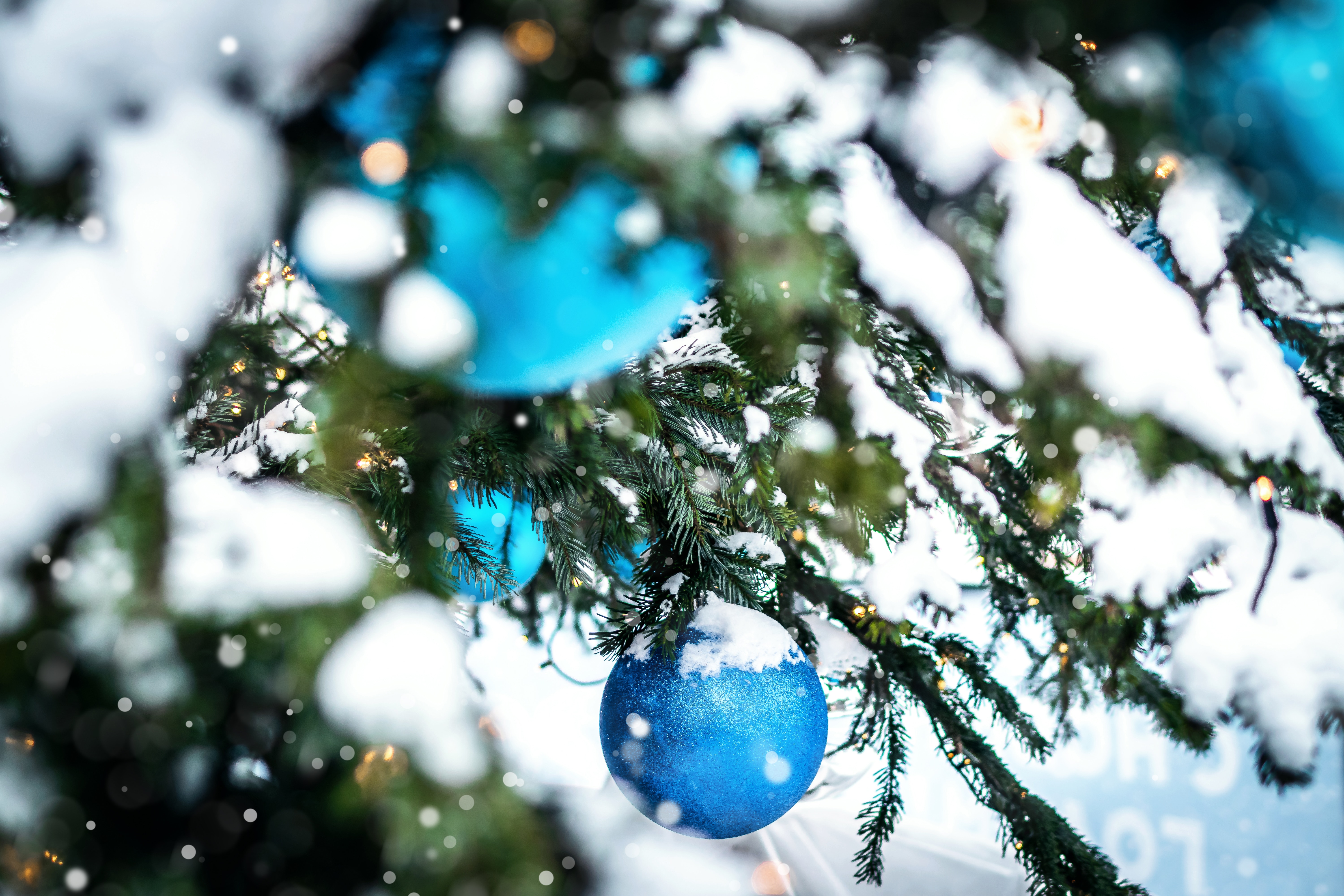 92798 скачать обои елка, украшения, рождество, новый год, праздники, снег, шары - заставки и картинки бесплатно