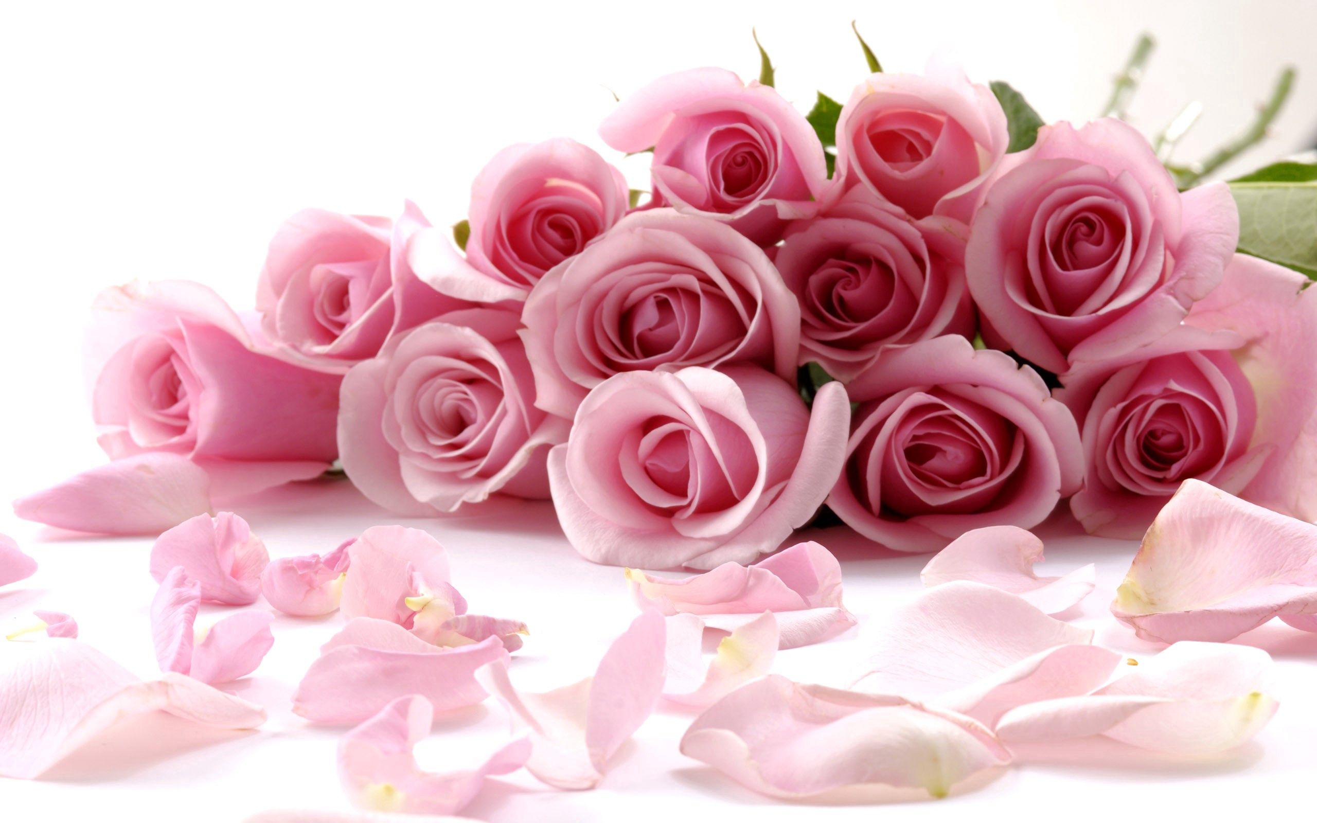 roses, miscellanea, miscellaneous, petals, bouquet 32K