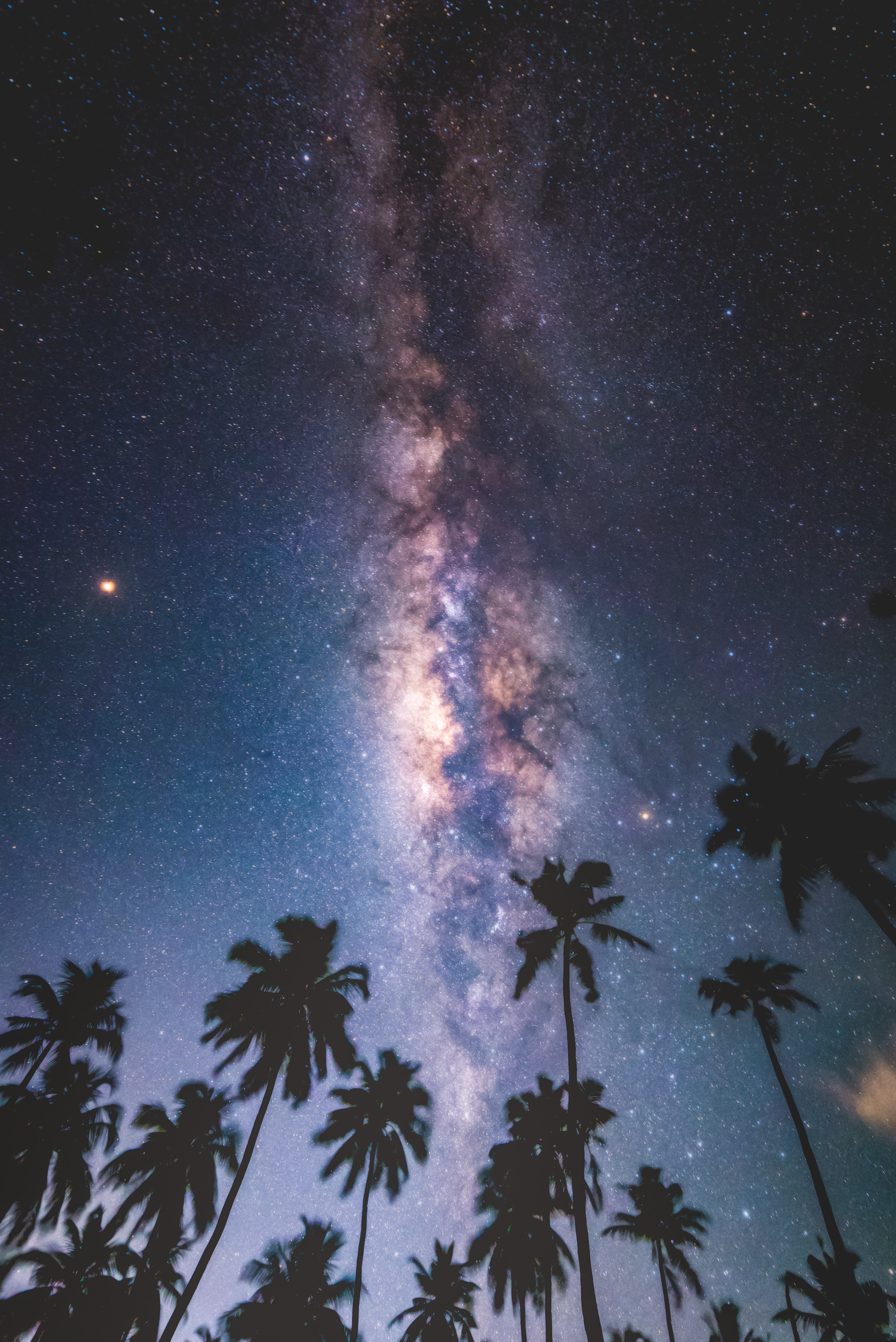 milky way, maldives, nature, stars, night, palms, starry sky UHD