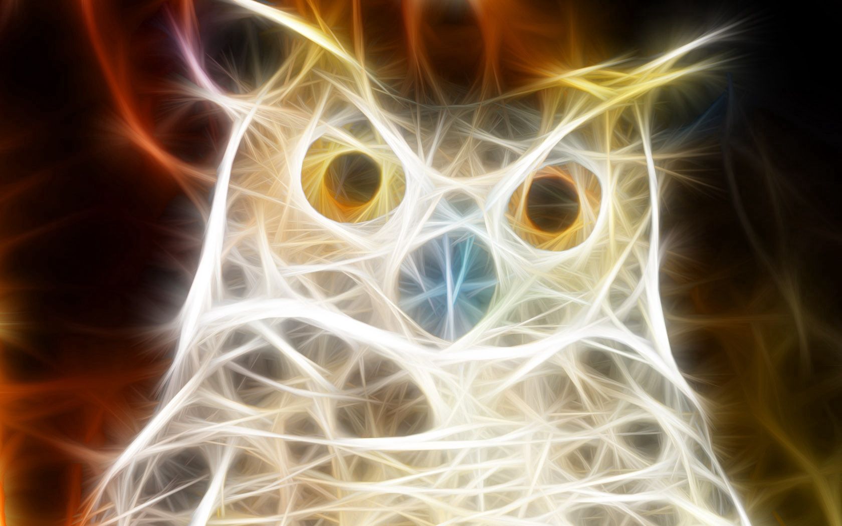 Download Owl HD desktop wallpapers