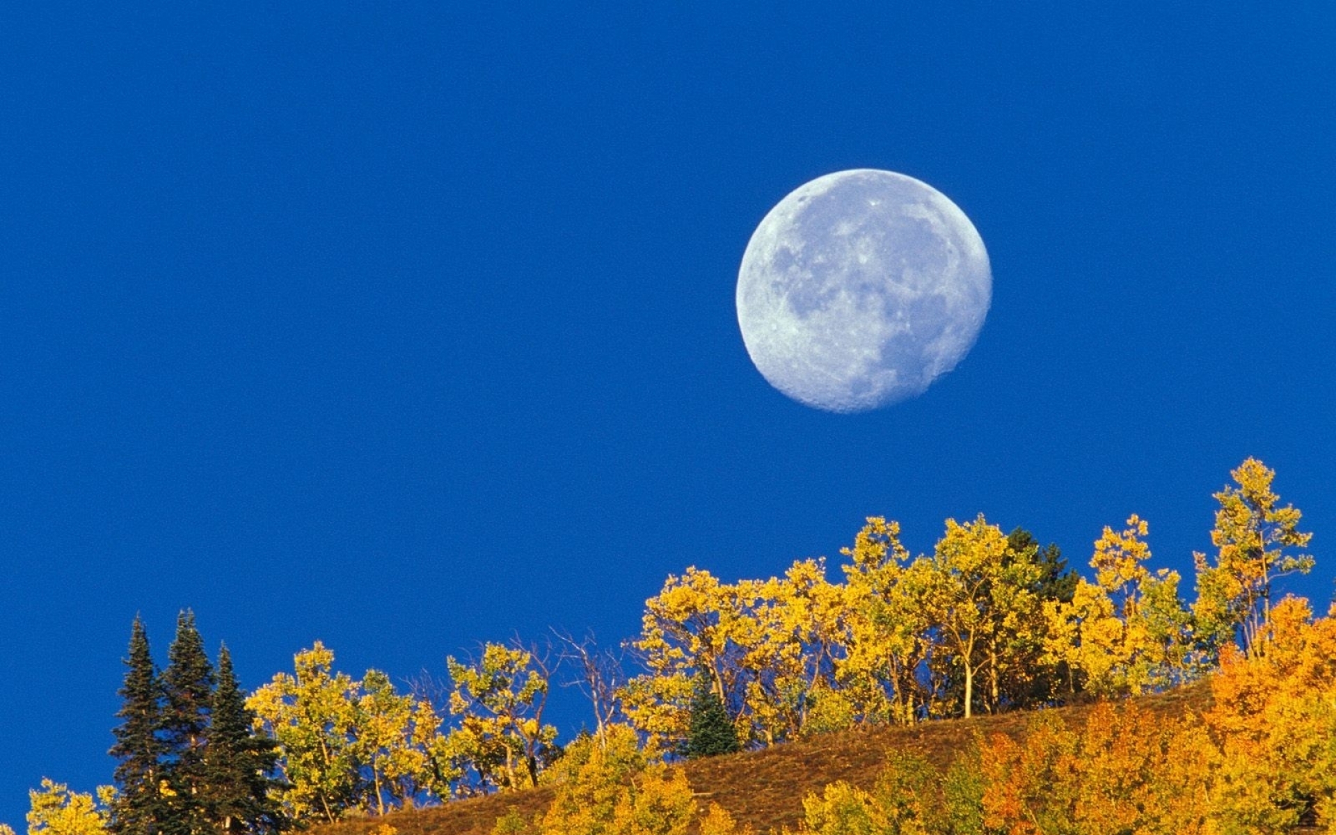 Светлый перед луны. Луна осень. Полнолуние осень. Природа Луны. Луна осенью.