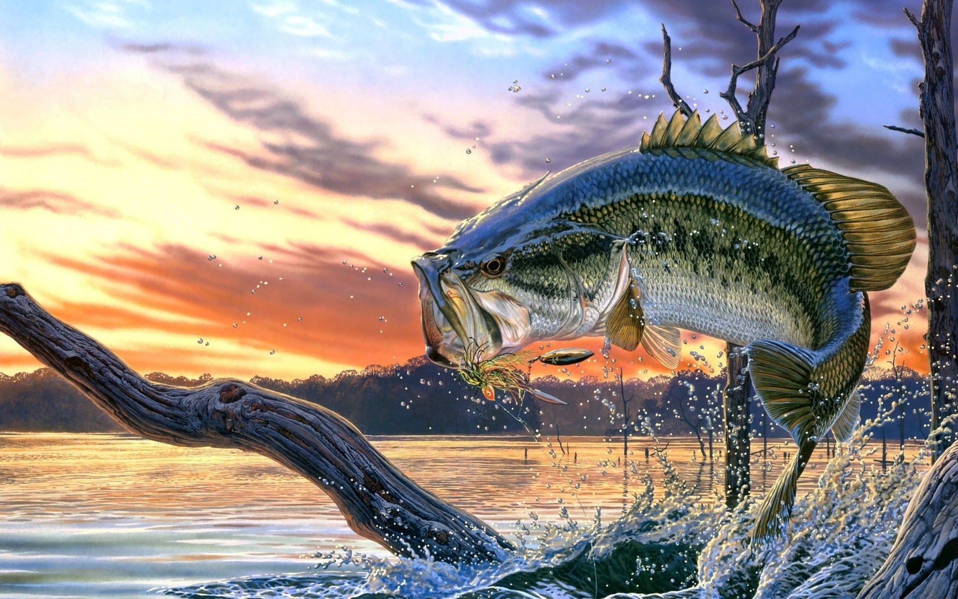 картинки на тему рыбалка