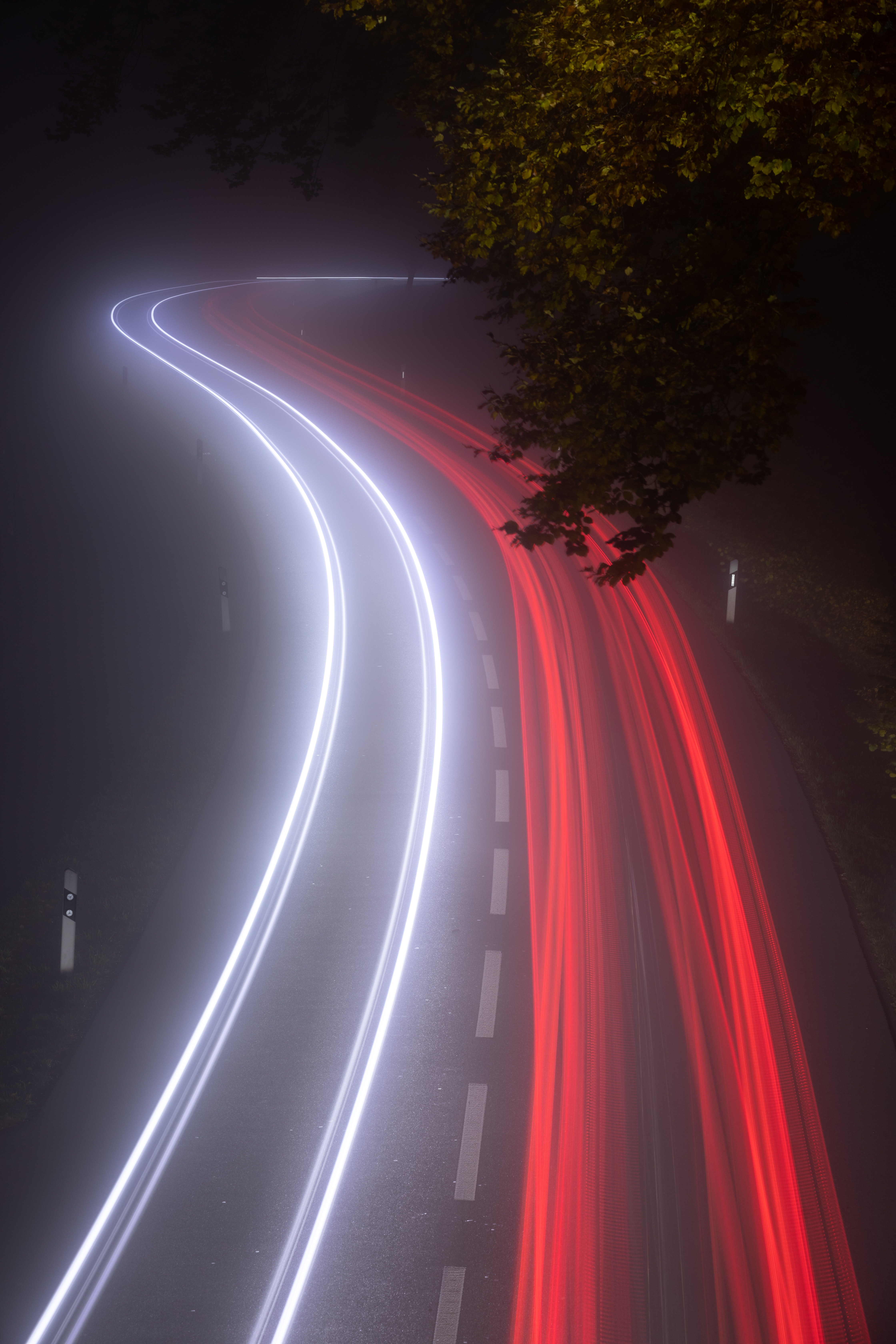 fog, night, lights, road, long exposure, dark