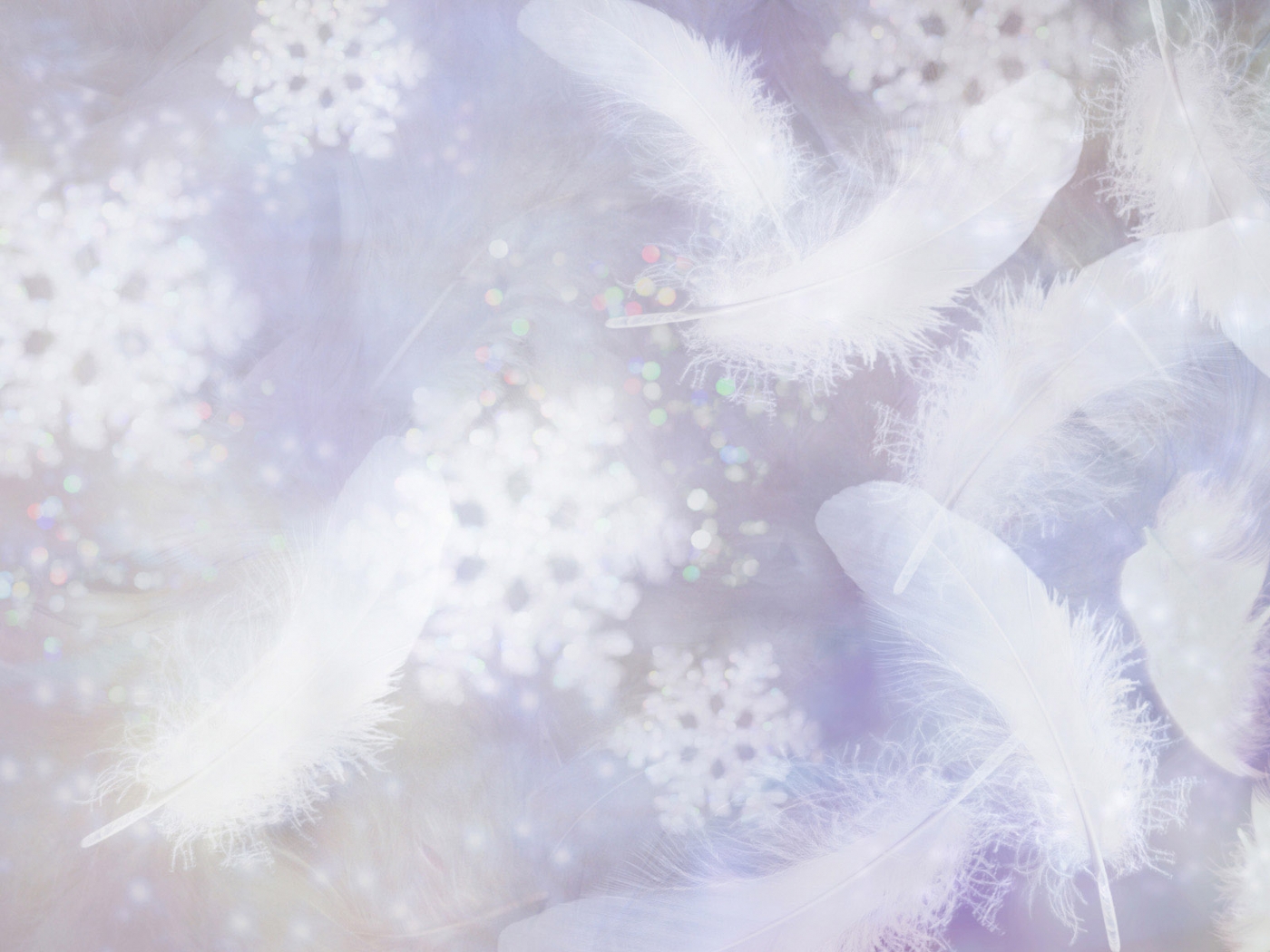 background, feather, gray Phone Background