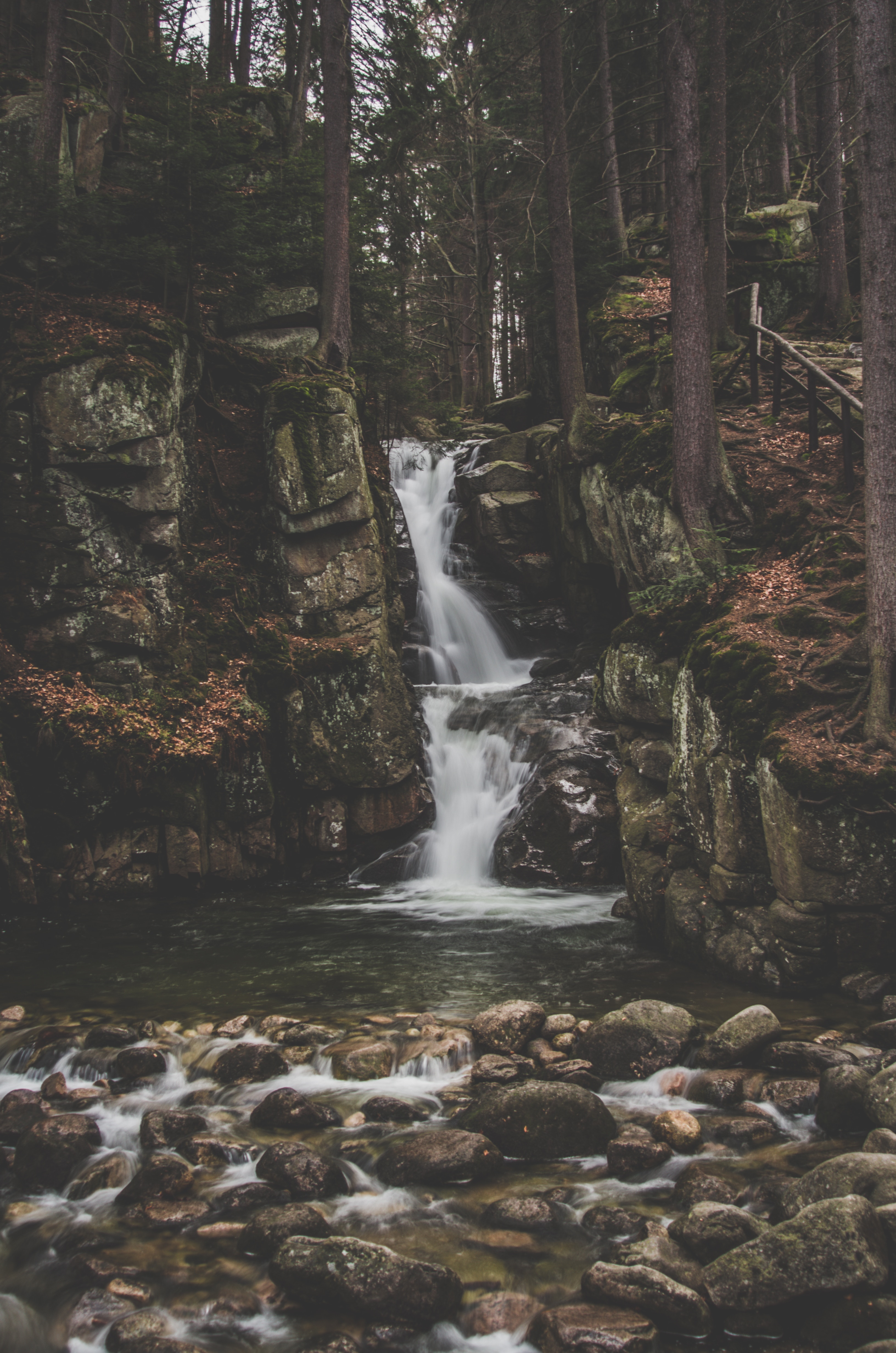 flow, nature, stones, forest 4K iPhone