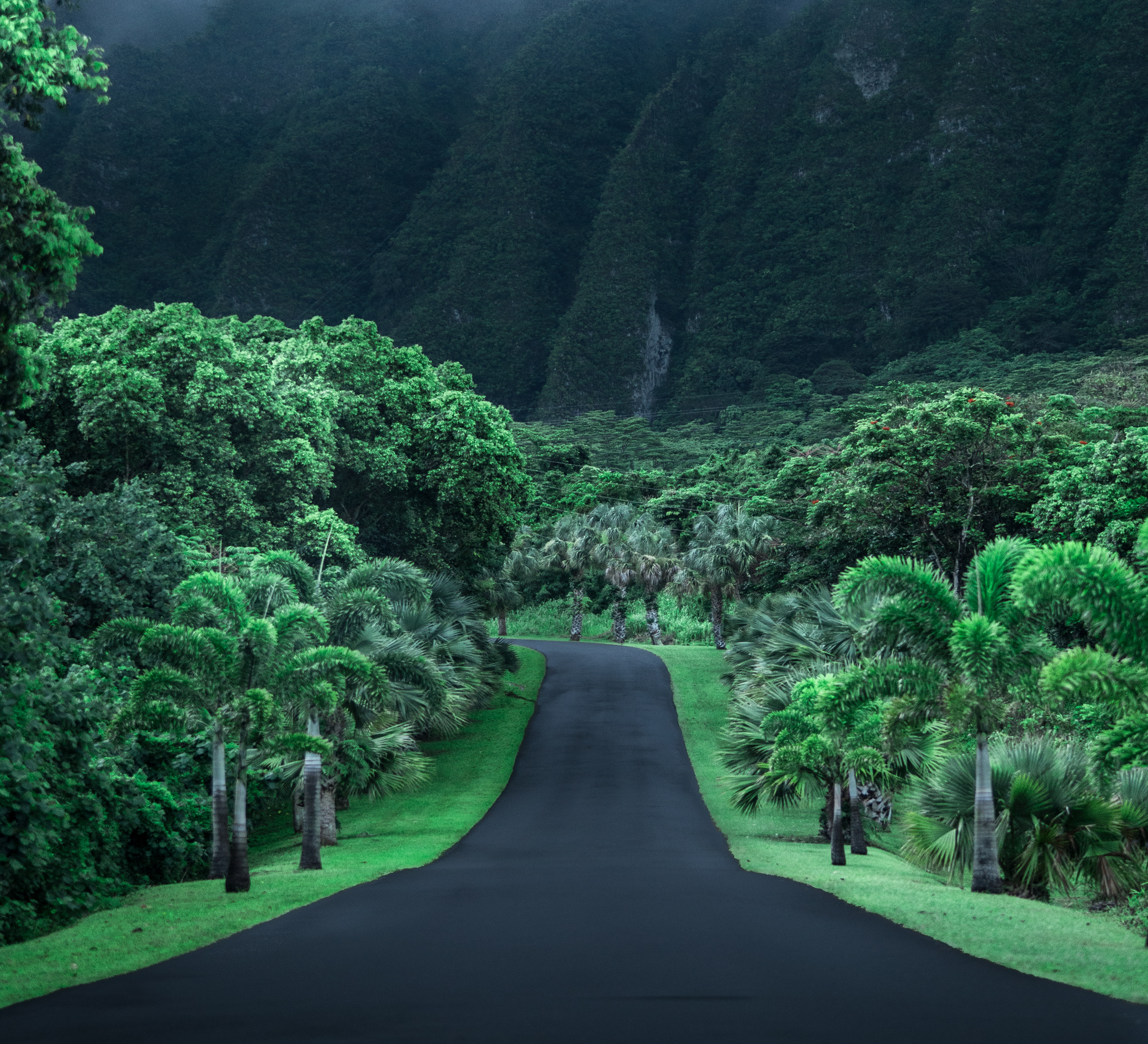 Đâm vào tâm trí của bạn với hình nền máy tính HD: Con đường, Hawaii, Nhân tạo miễn phí. Hình ảnh tuyệt đẹp này sẽ đưa bạn đến với những con đường trong mơ và thu hút sự chú ý của mọi người.