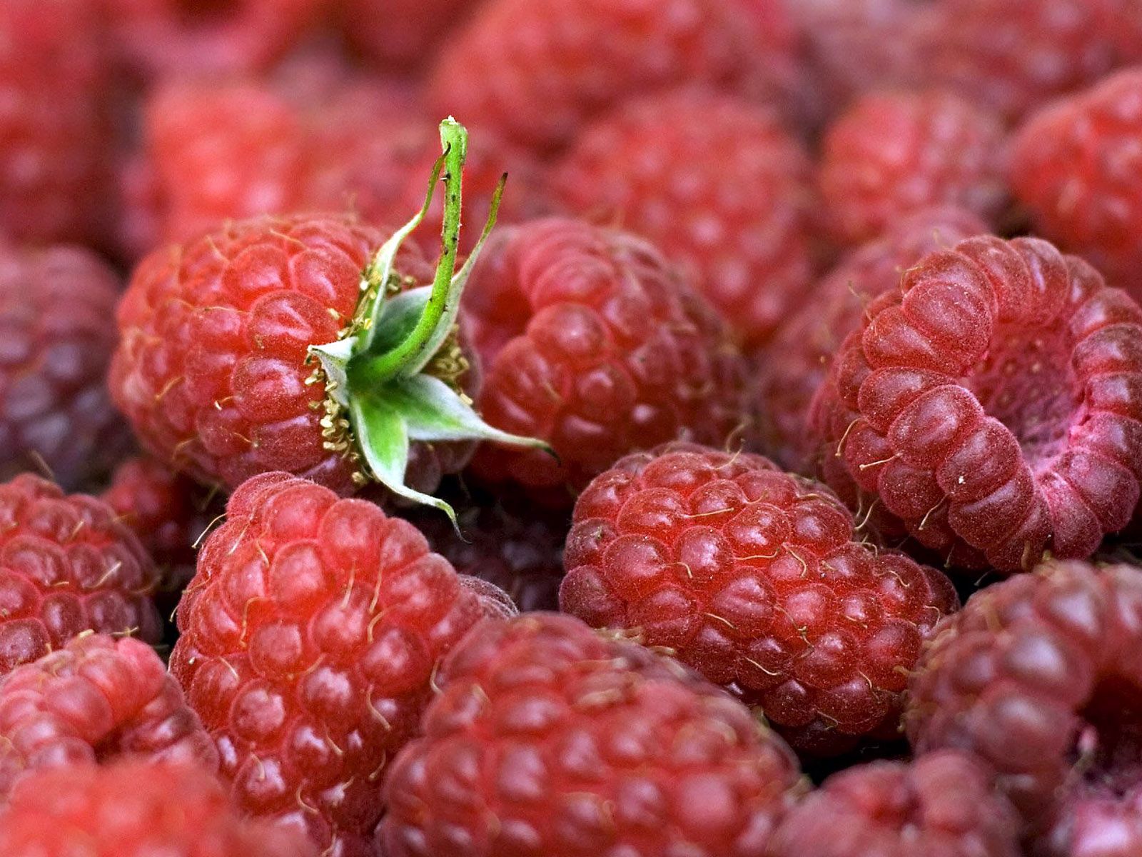 140989 download wallpaper leaves, food, raspberry, berries, ripe screensavers and pictures for free
