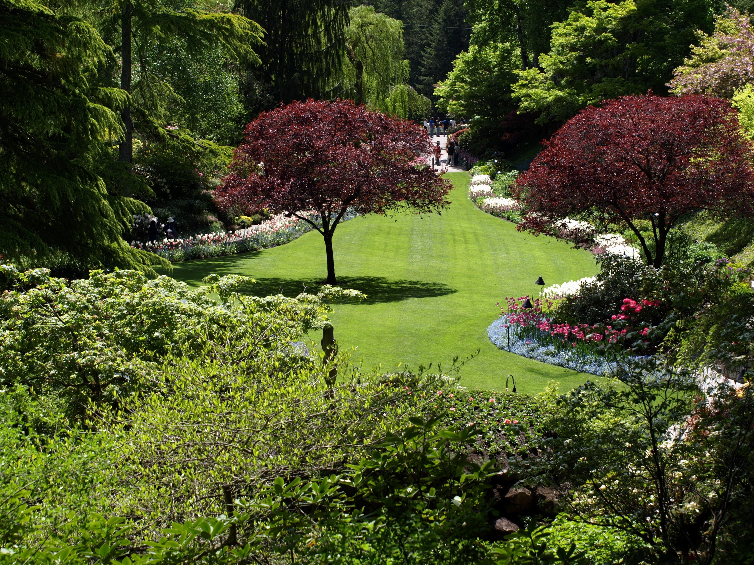 1080p pic garden, registration, trees, flowers