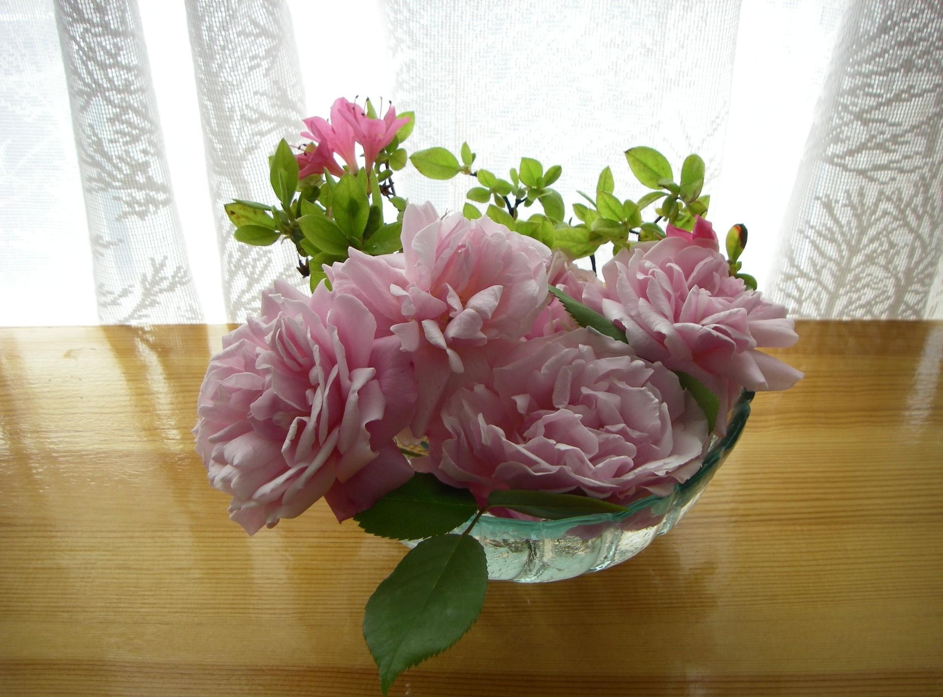 Handy-Wallpaper Blumen, Roses, Tisch, Tabelle, Vase, Garten, Knospen, Vorhang kostenlos herunterladen.