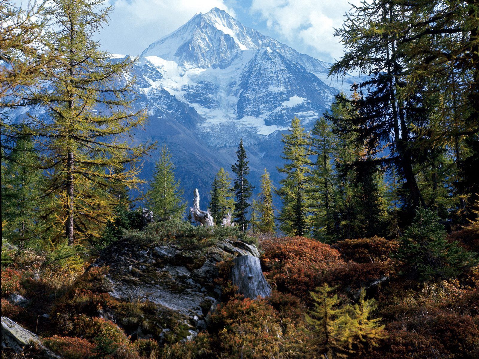 150414 скачать обои швейцария, вершина, горы, природа, деревья, лес, бичхорн - заставки и картинки бесплатно