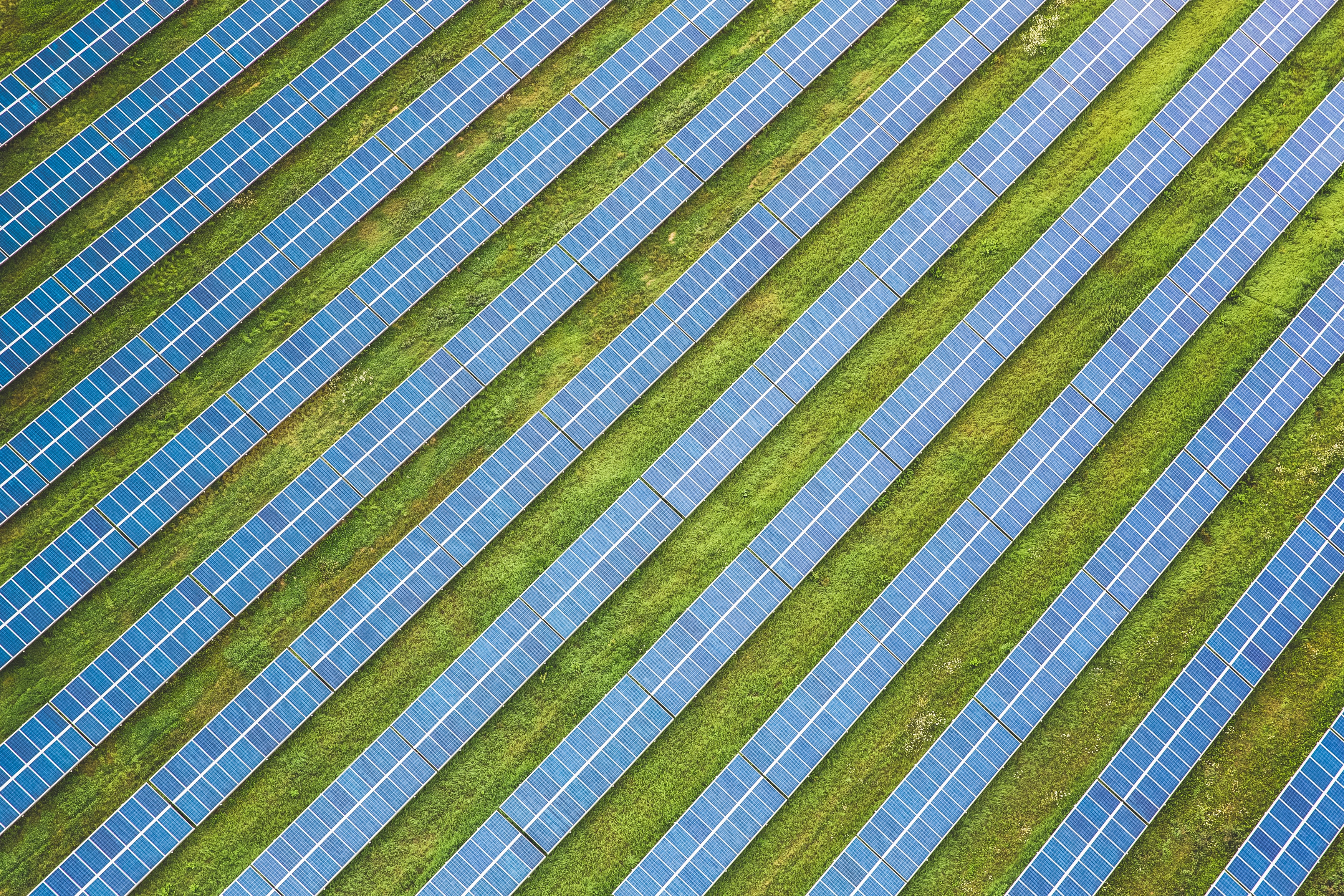 rows, solar panels, texture, view from above, field, ranks, textures