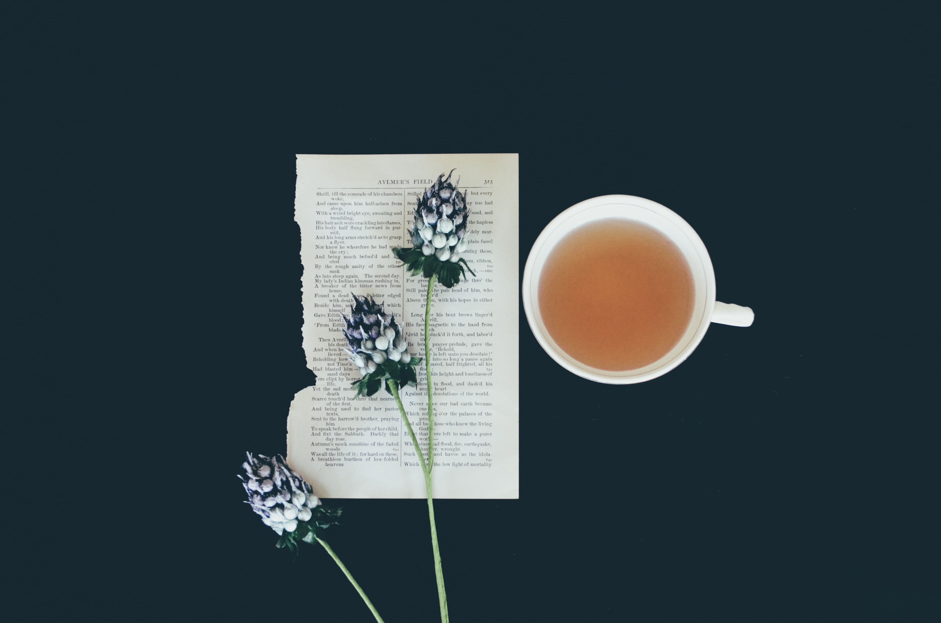 miscellanea, flowers, miscellaneous, cup, page