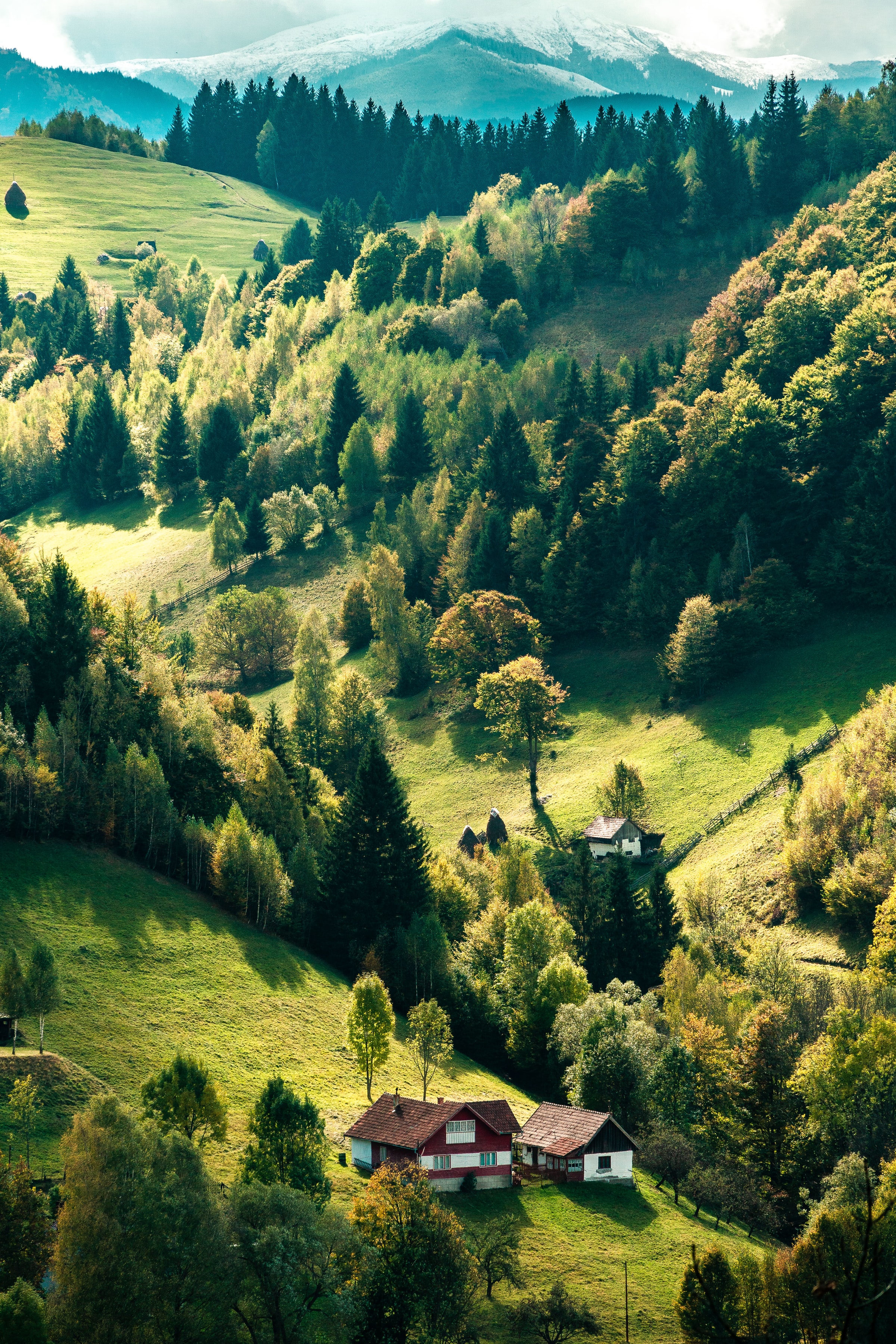 Laden Sie das Natur, Bäume, Wald, Haus, Dorf, Die Hügel, Hügel-Bild kostenlos auf Ihren PC-Desktop herunter
