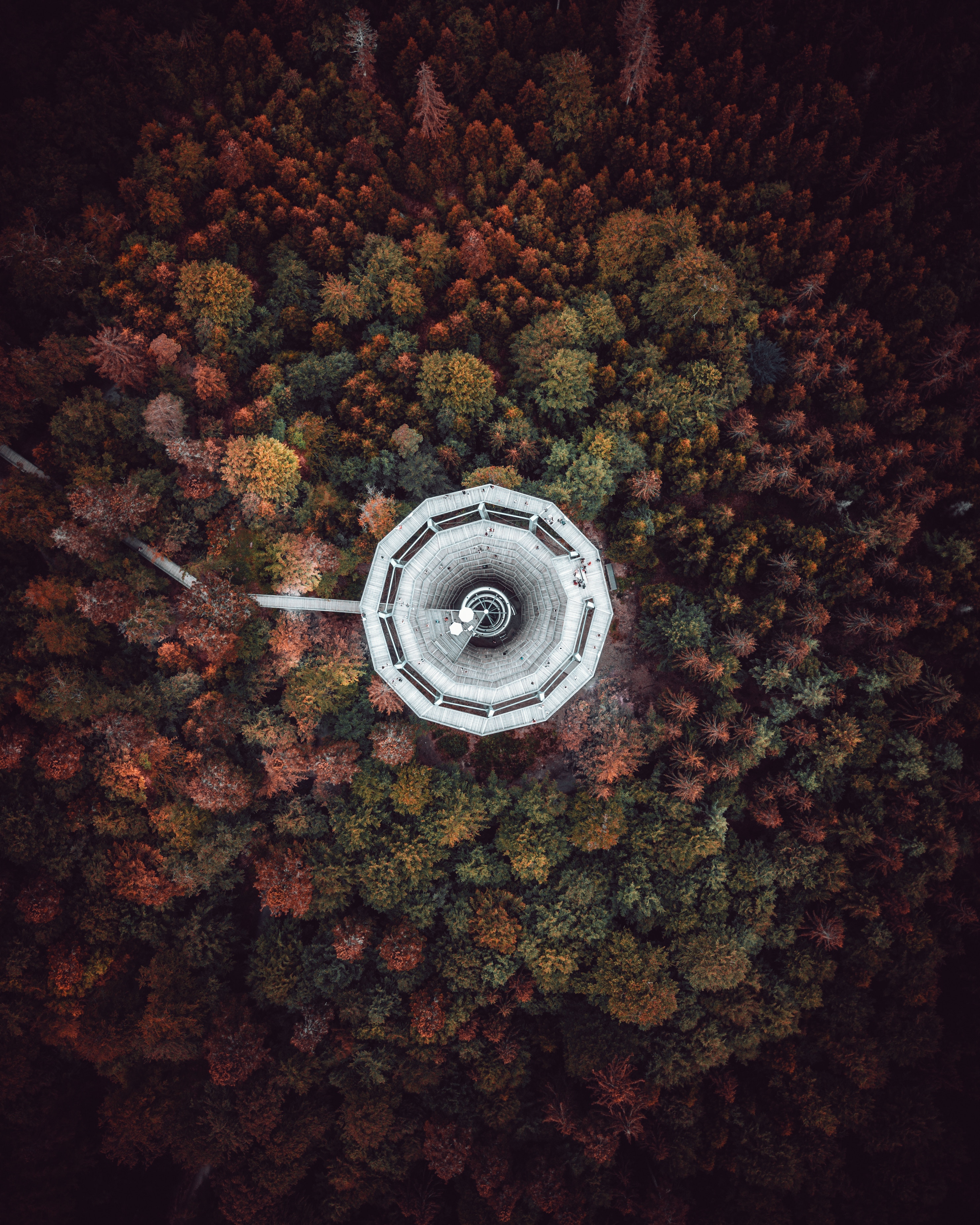 germany, nature, trees, view from above, tower, bad wildbad Aesthetic wallpaper
