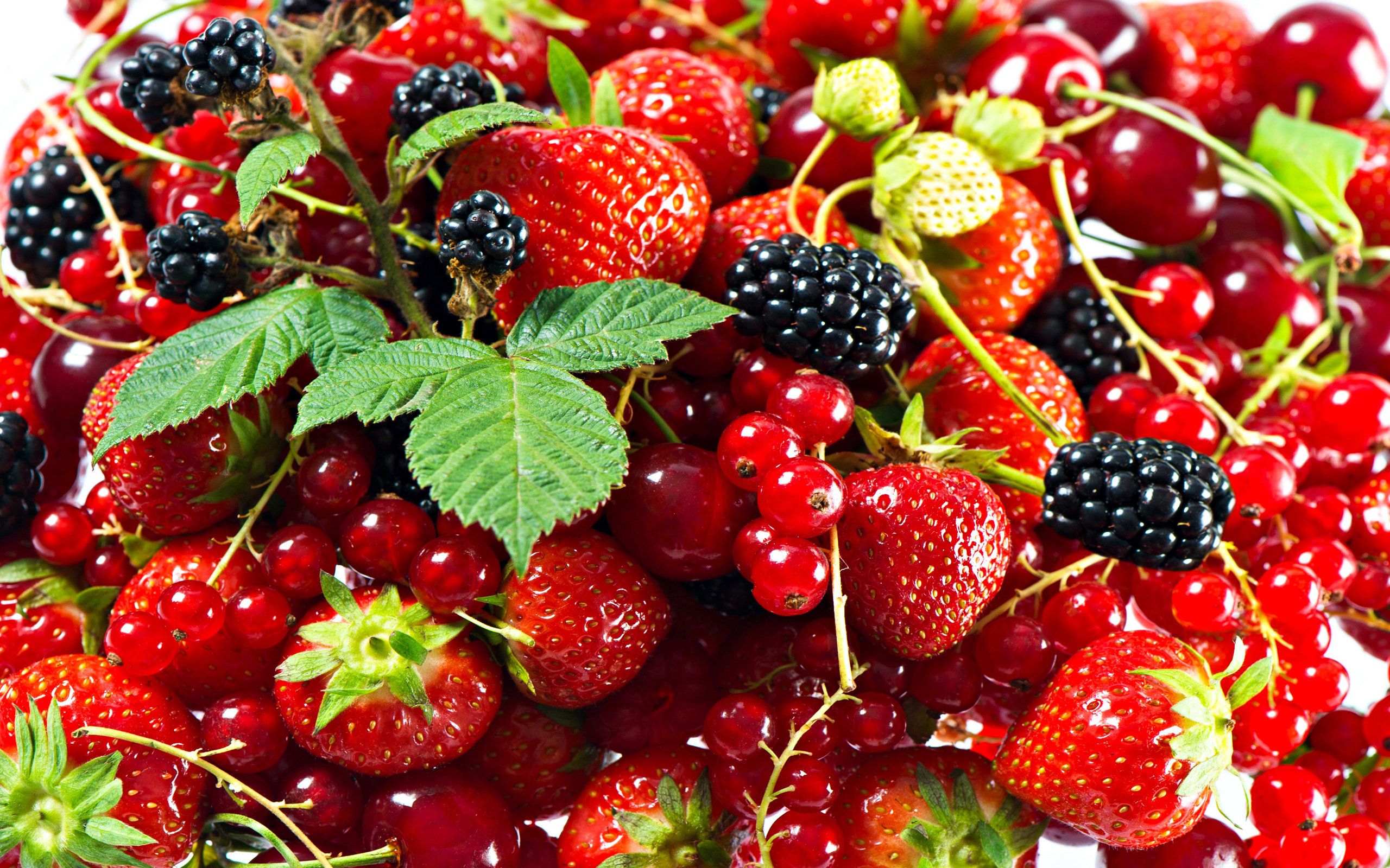 fruits, red, strawberry, currant, blackberry, plants 8K