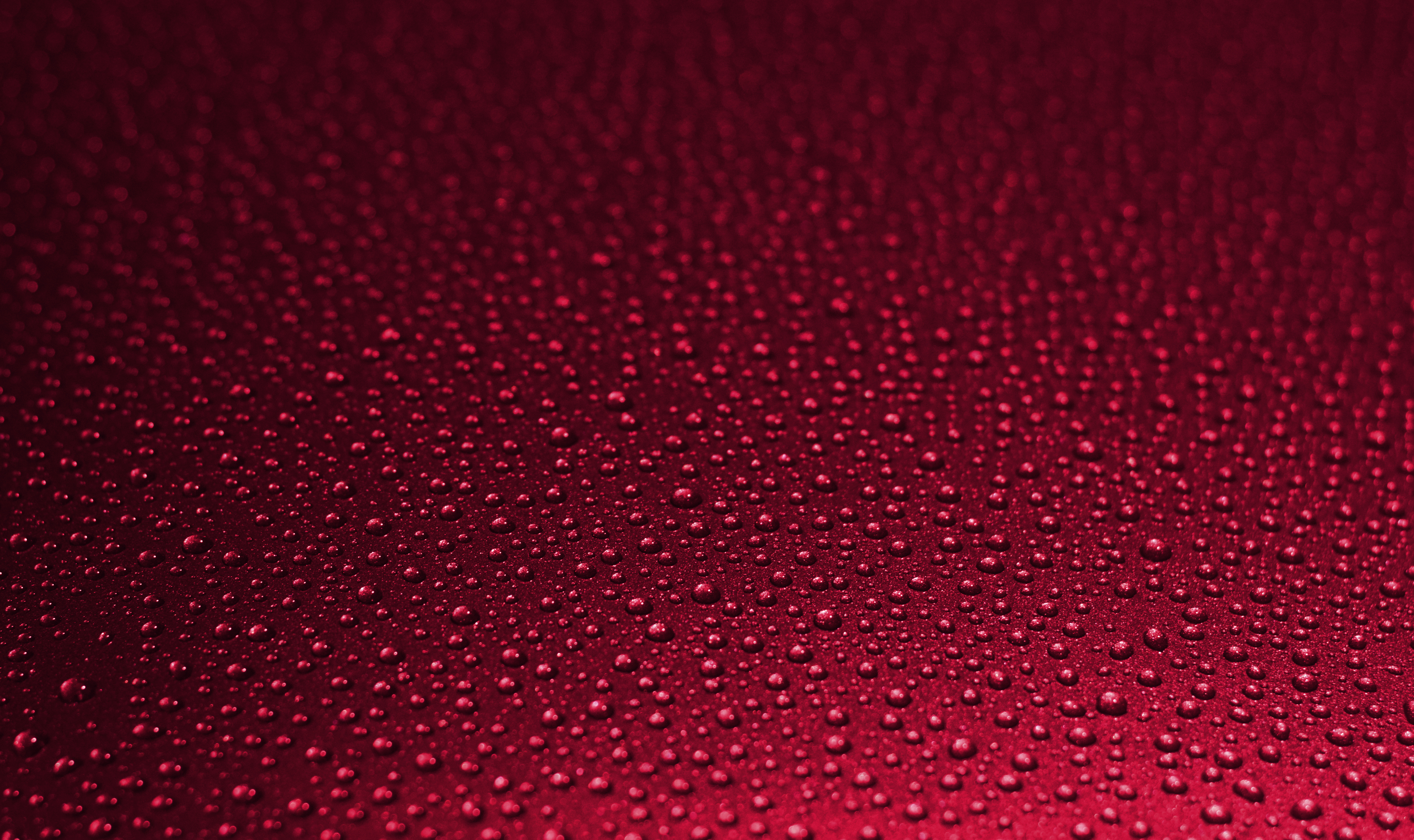 red, surface, wet, drops, macro