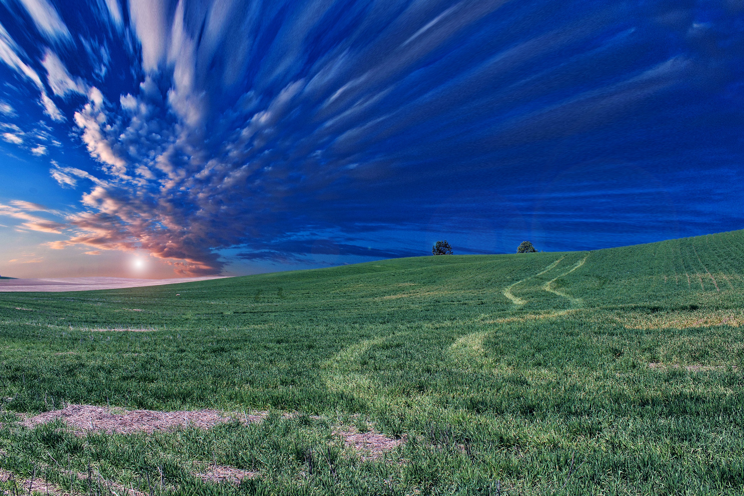 51841 Hintergrundbild herunterladen natur, grass, sky, horizont, feld, abend - Bildschirmschoner und Bilder kostenlos