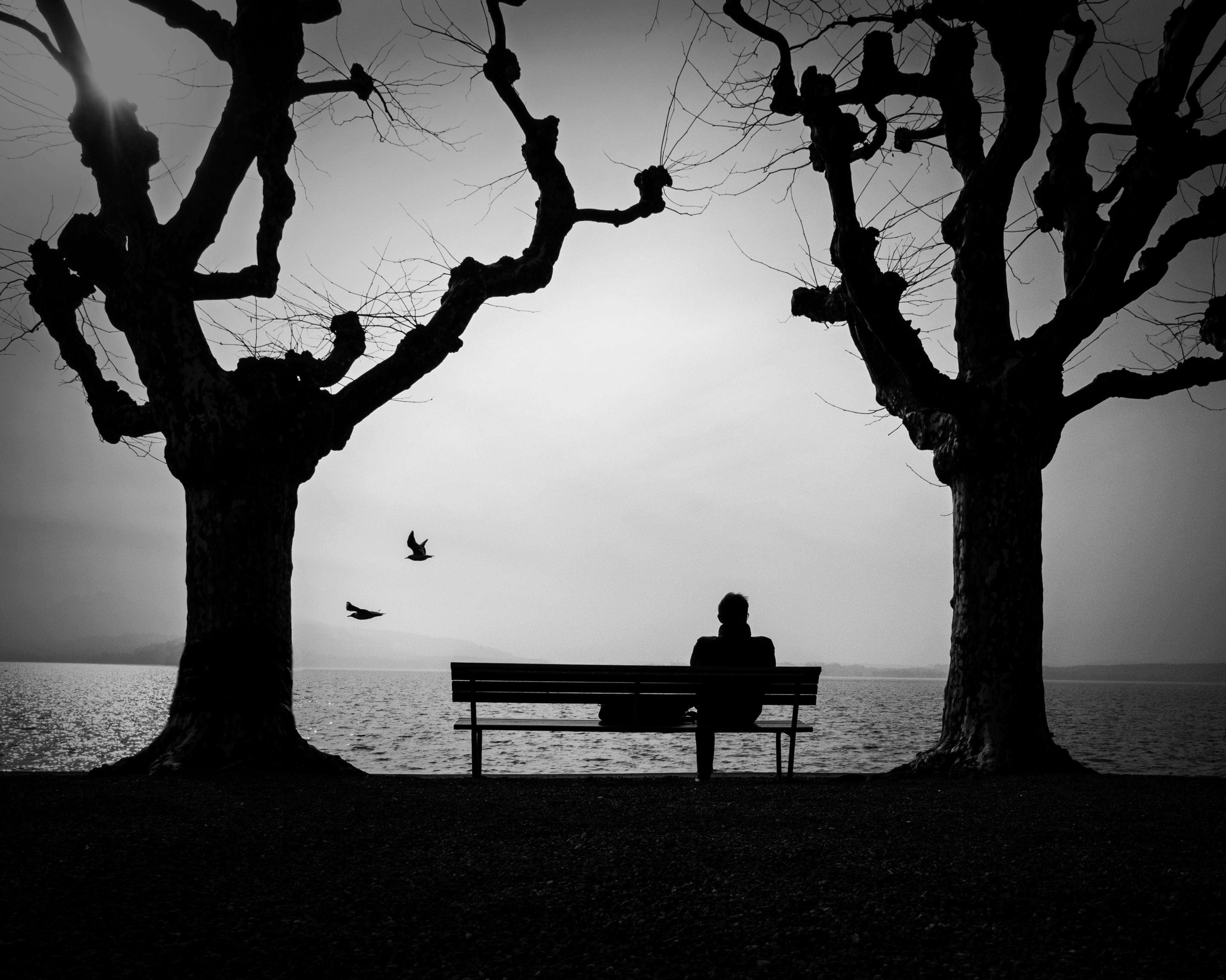 alone, bench, silhouette, miscellanea, miscellaneous, loneliness, lonely