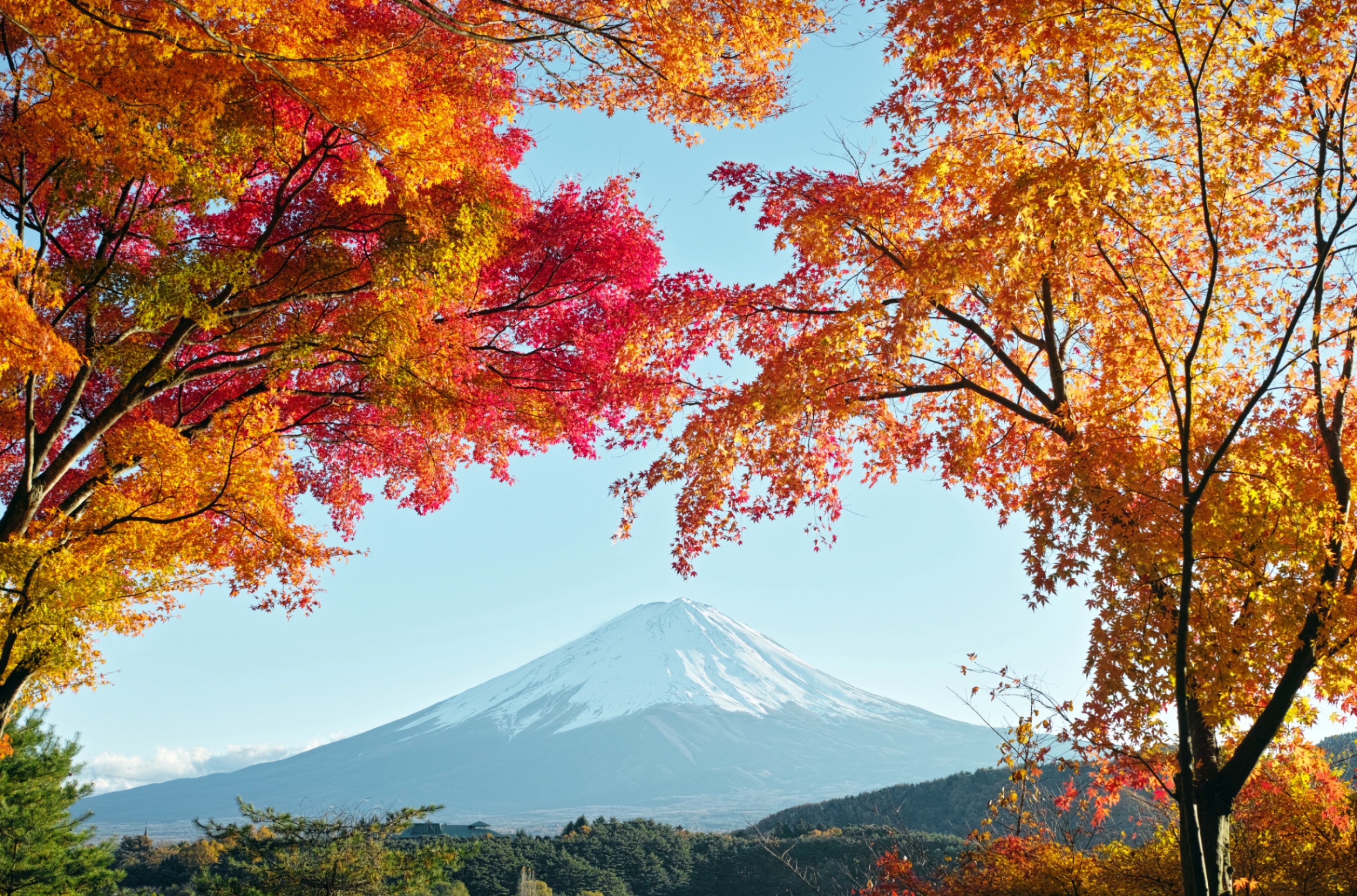 341682壁紙のダウンロード地球, 富士山, 藤山, 日本, 火山-スクリーンセーバーと写真を無料で