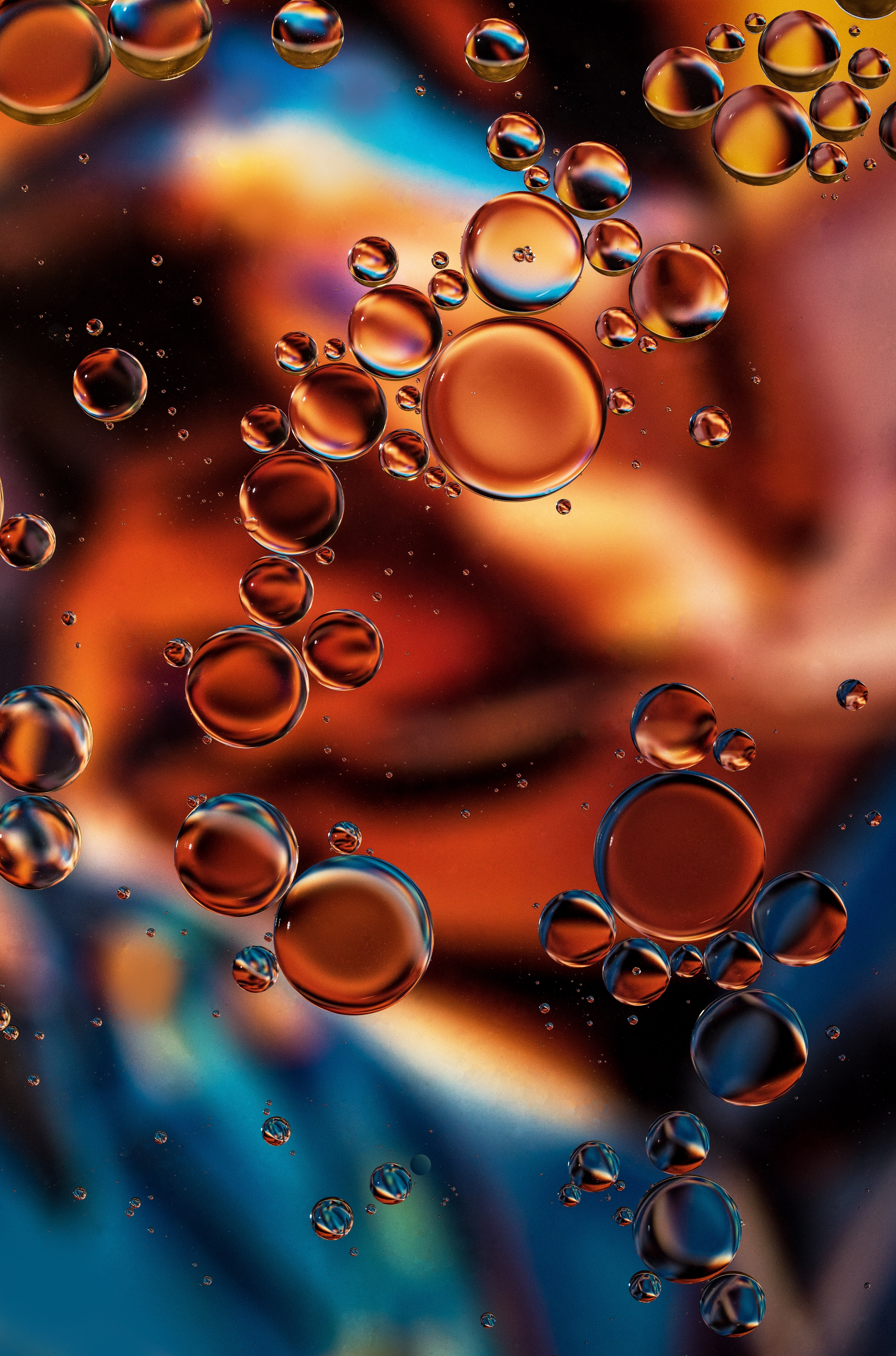 bubbles, macro, liquid Panoramic Wallpapers
