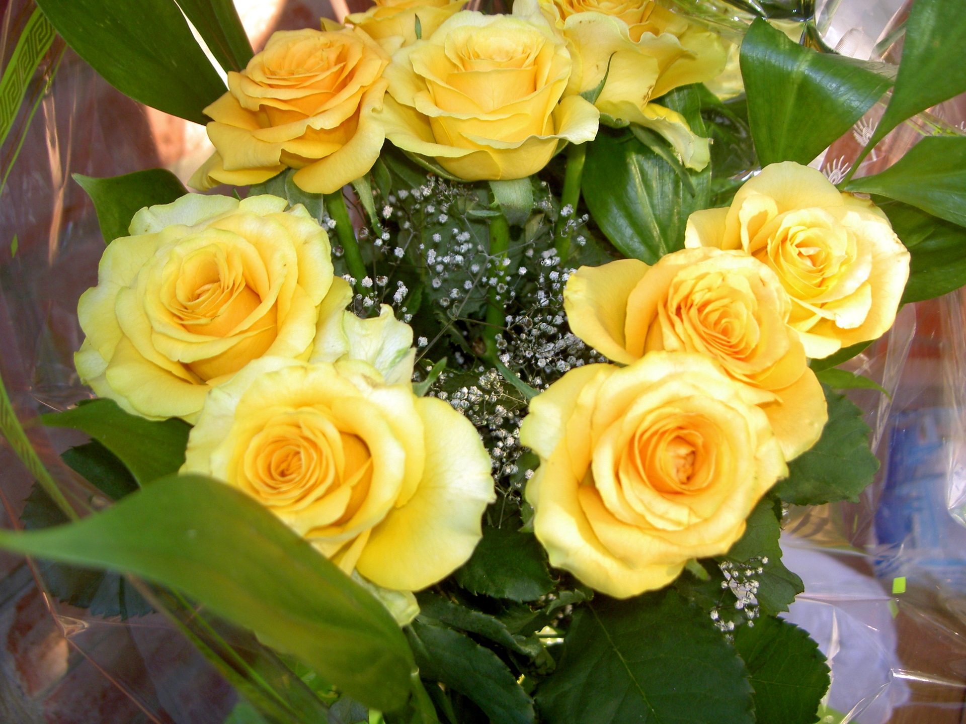 Free Images roses, yellow, flowers, bouquet Typography