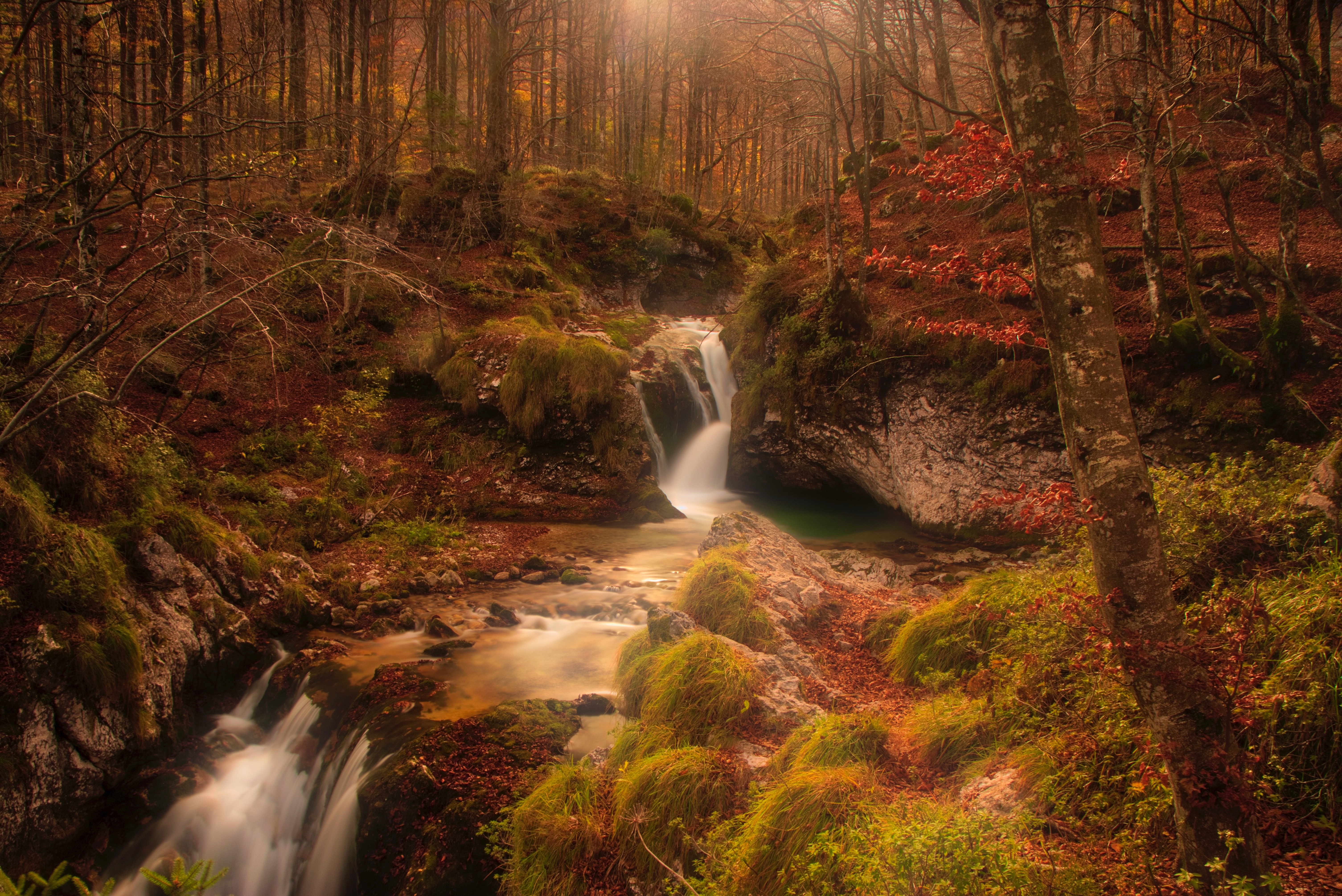 Handy-Wallpaper Herbst, Natur, Wasserfall, Wald, Bach, Brook kostenlos herunterladen.