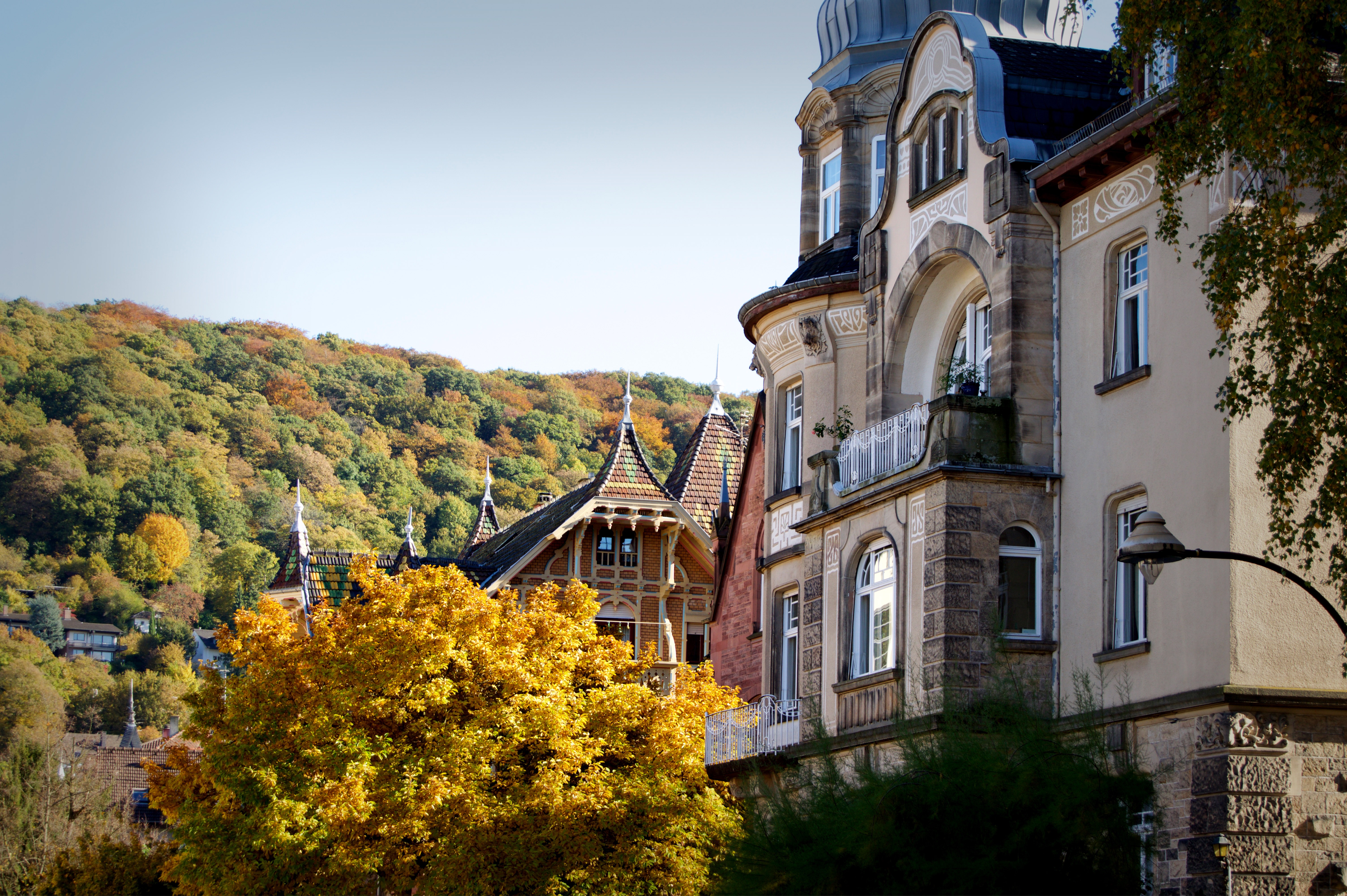 forest, architecture, cities, autumn, building, heidelberg, germany 1080p