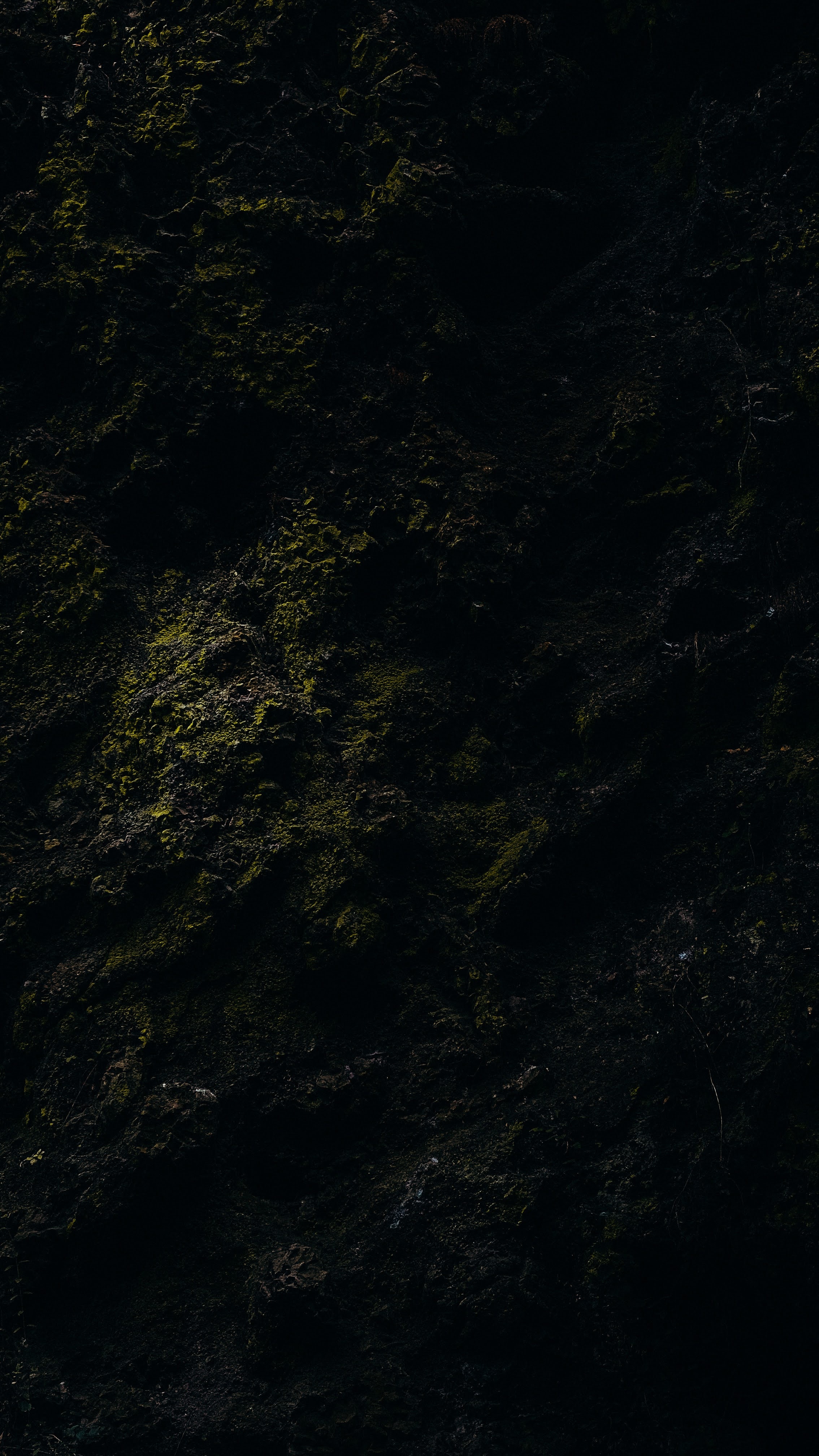 Moss stone, rock, dark, texture 4k Wallpaper