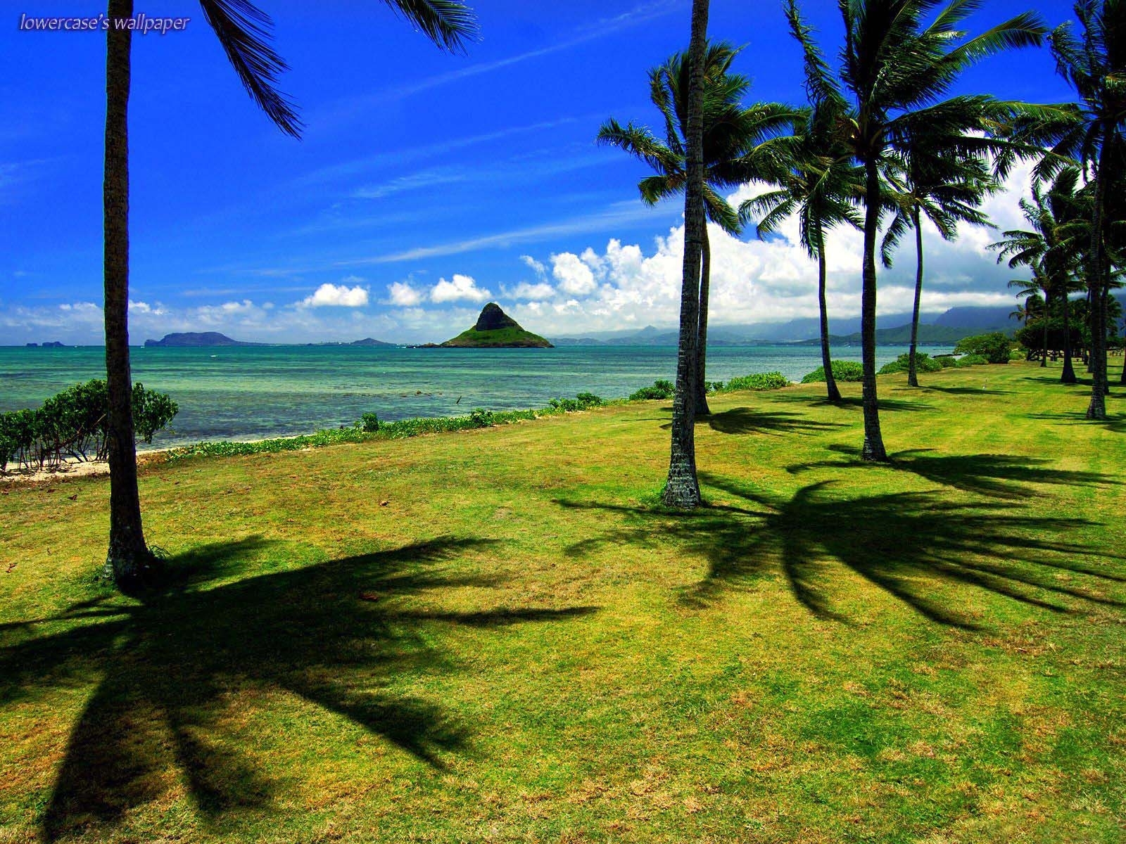 Laden Sie das Landschaft, Bäume, Palms-Bild kostenlos auf Ihren PC-Desktop herunter