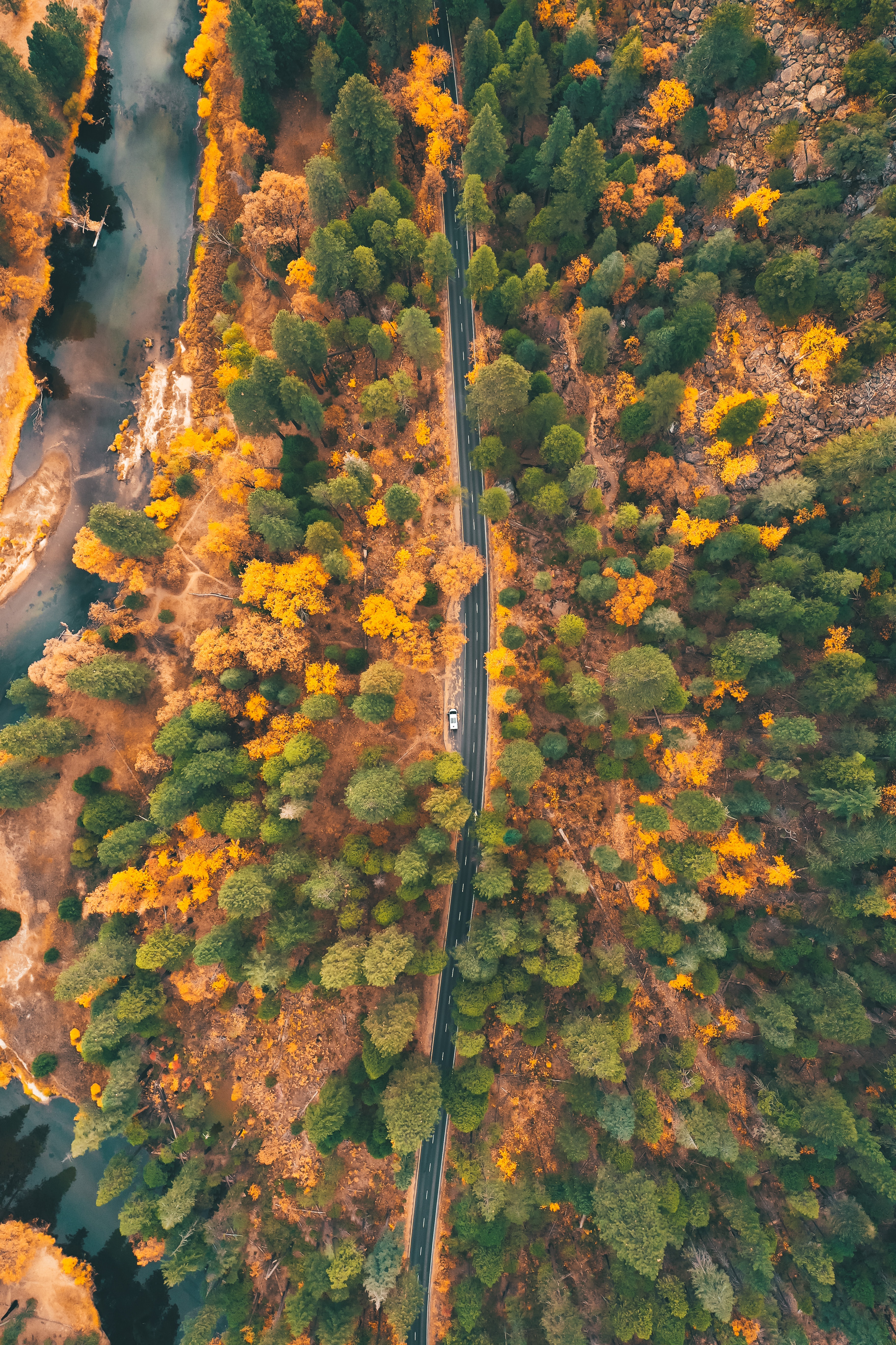 view from above, autumn, nature, trees, road, forest, car 5K