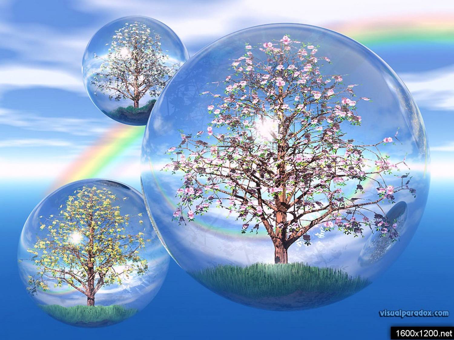 Laden Sie das Regenbogen, Bäume, Hintergrund-Bild kostenlos auf Ihren PC-Desktop herunter