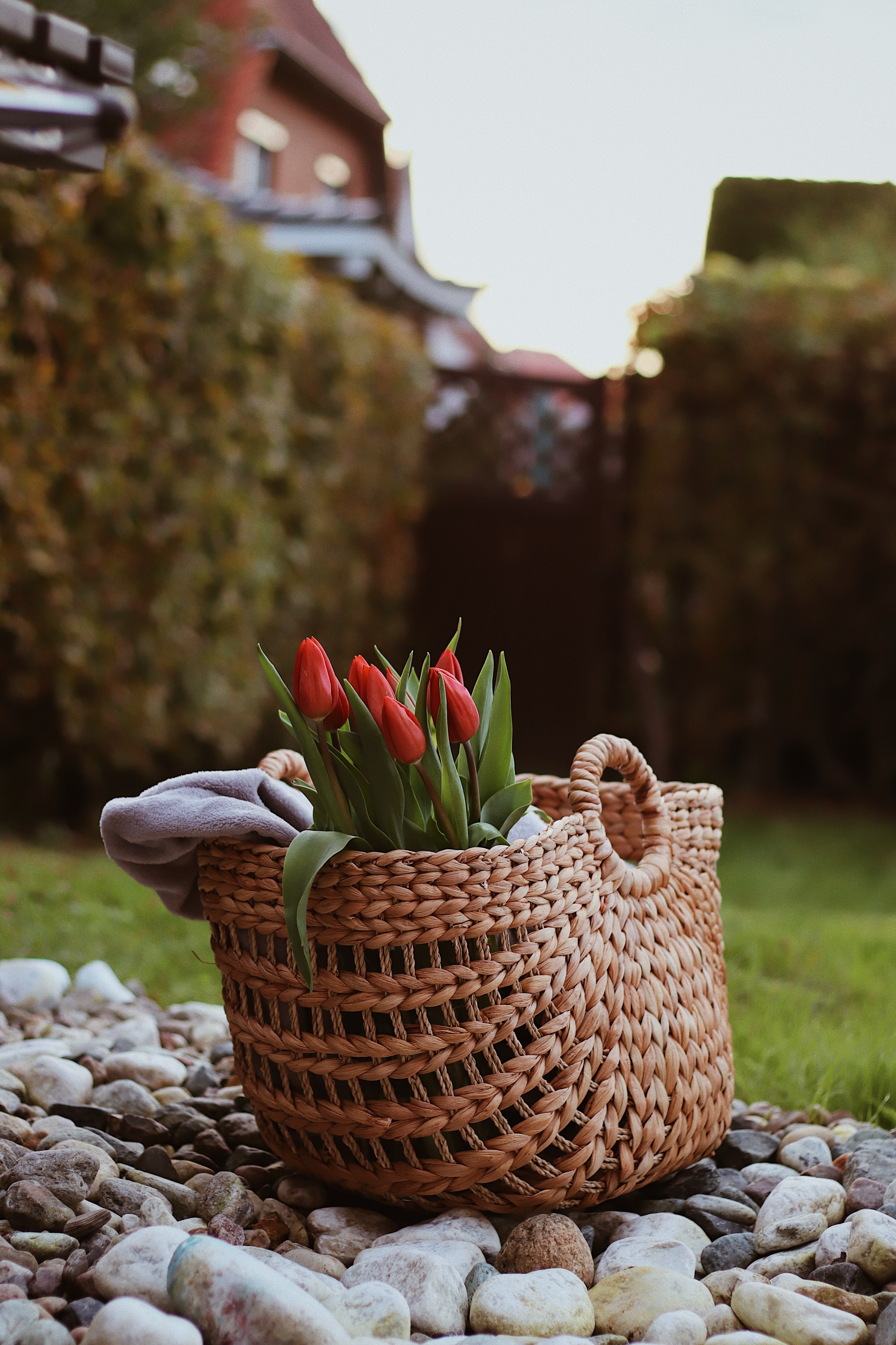 Handy-Wallpaper Blumen, Stones, Strauß, Bouquet, Korb, Tulpe, Tulip kostenlos herunterladen.