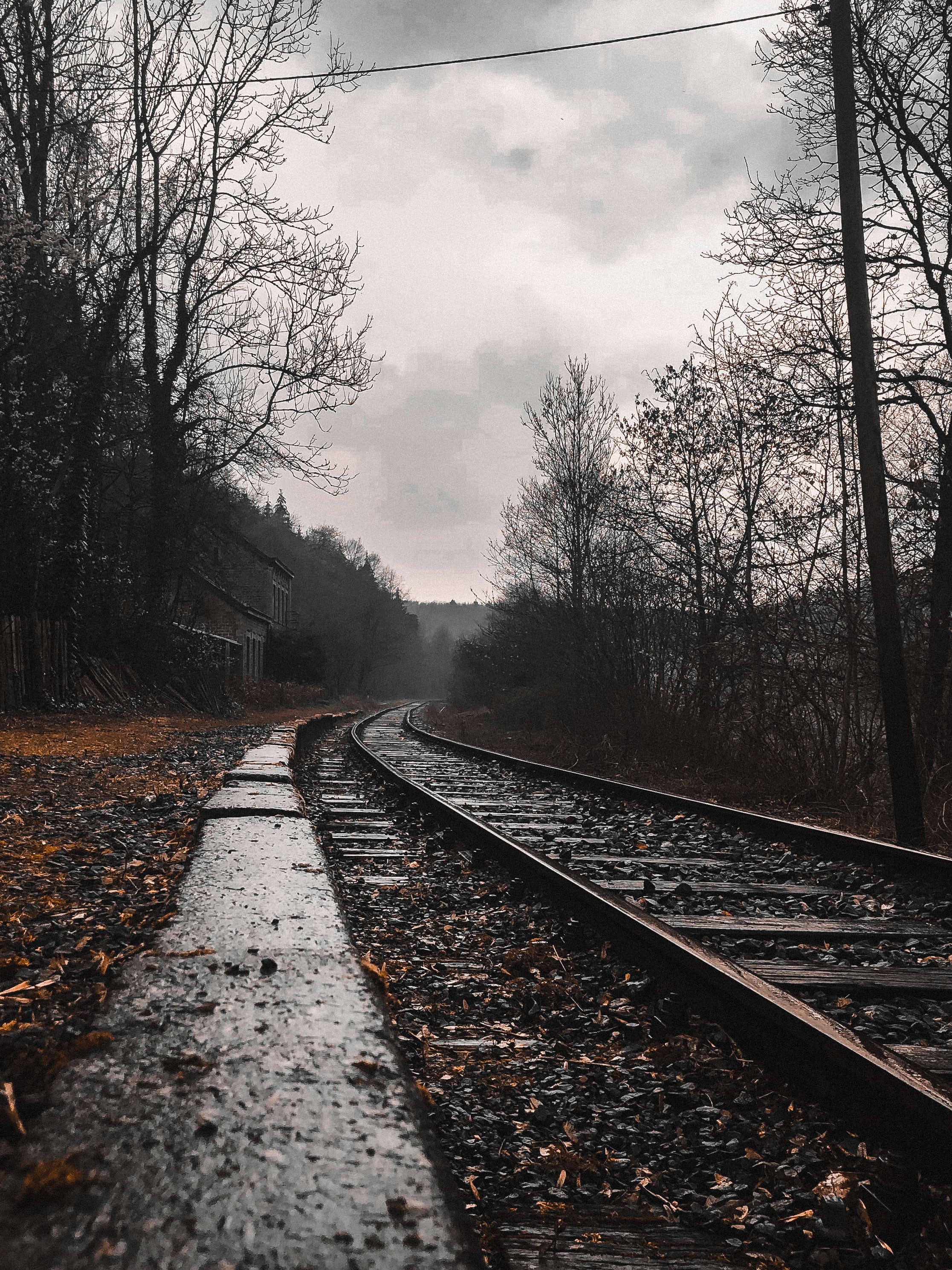 mainly cloudy, rails, forest, nature, railway, overcast Phone Background