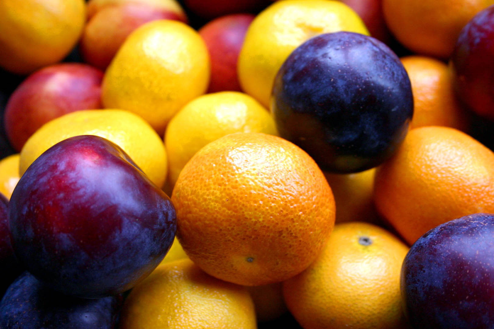 Mobile HD Wallpaper Fruits plum, ripe, food, tangerines