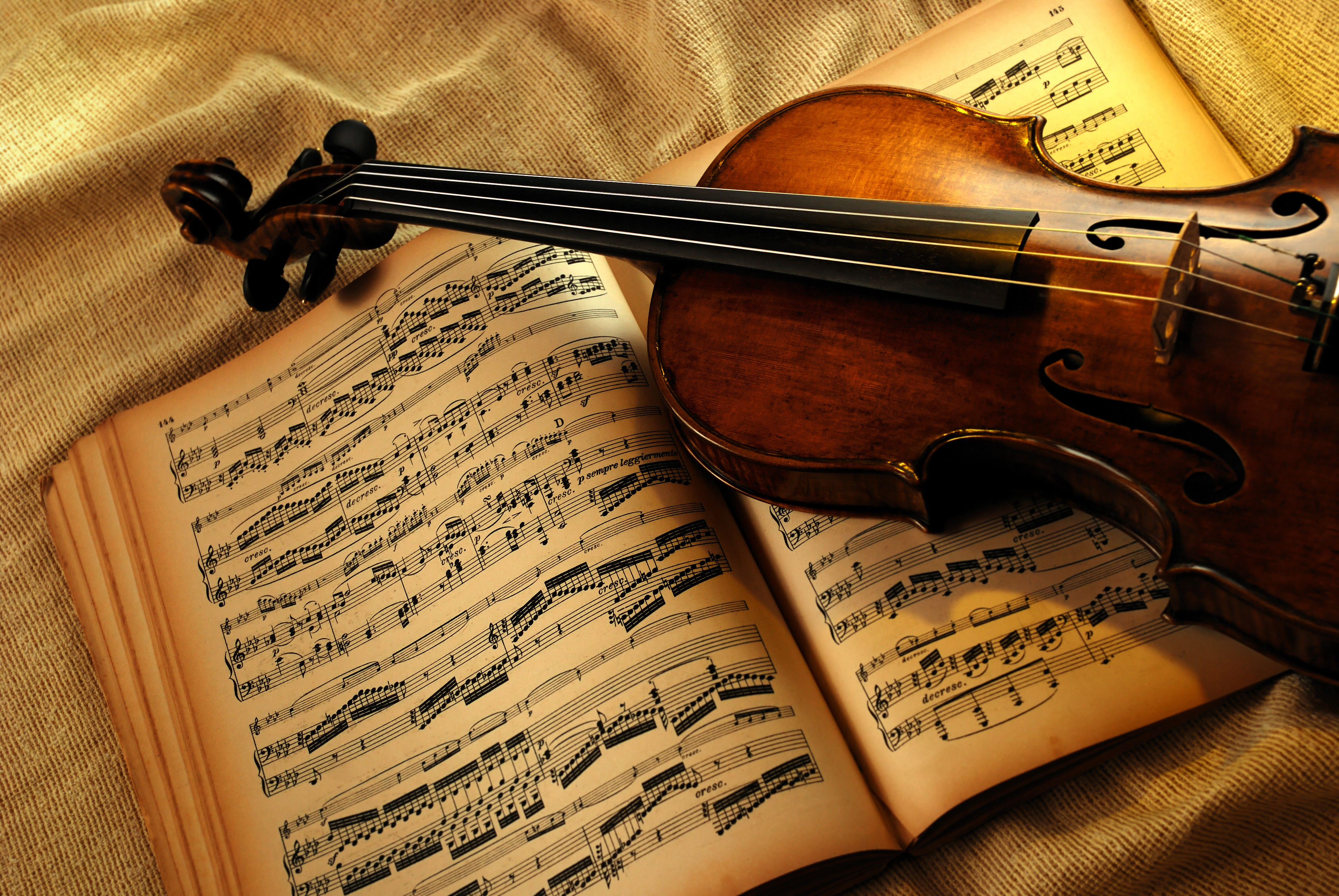 violin, still life, music, artistic, instrument