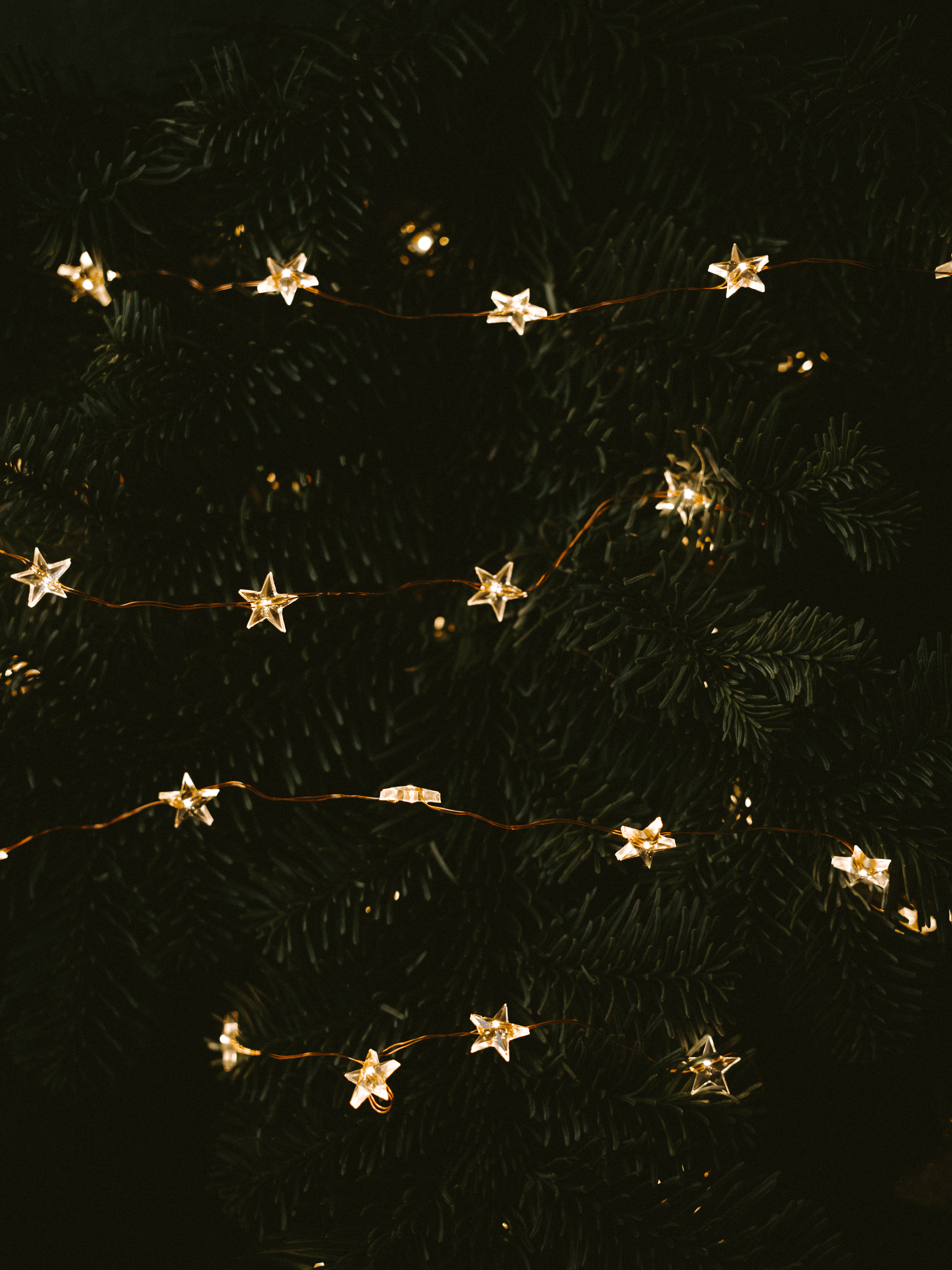 56606 скачать обои новый год, елка, праздники, звезды, гирлянда, украшение - заставки и картинки бесплатно