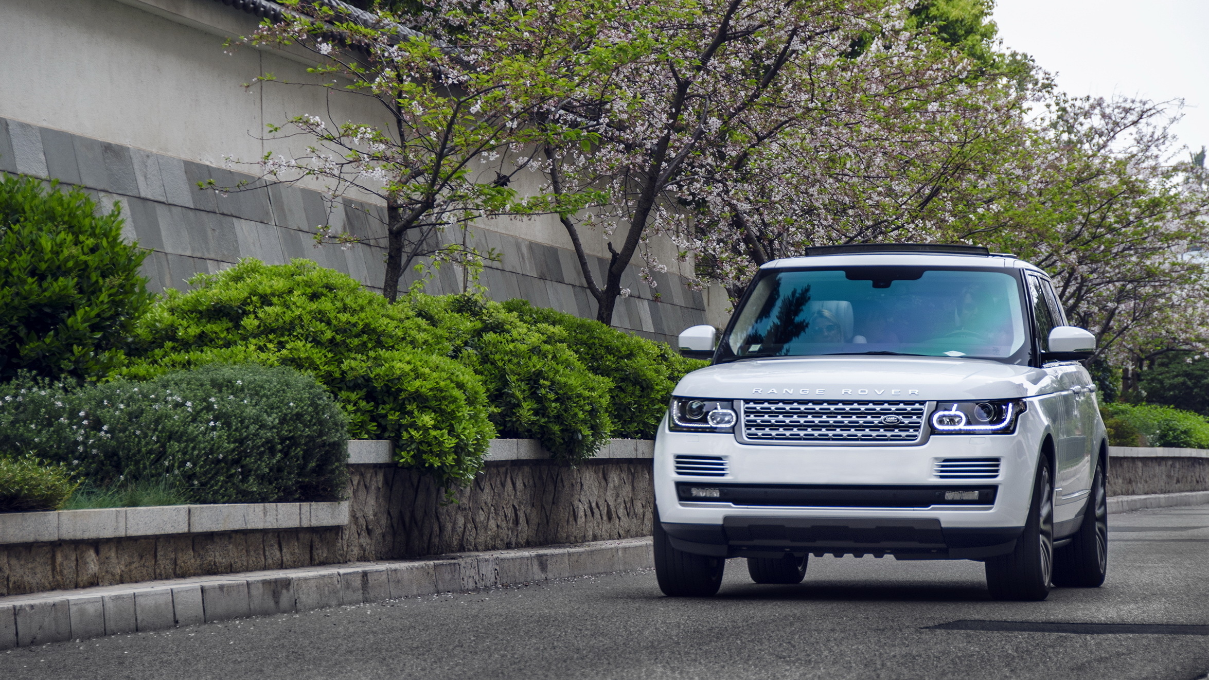 69064 download wallpaper auto, range rover, cars, white, suv screensavers and pictures for free