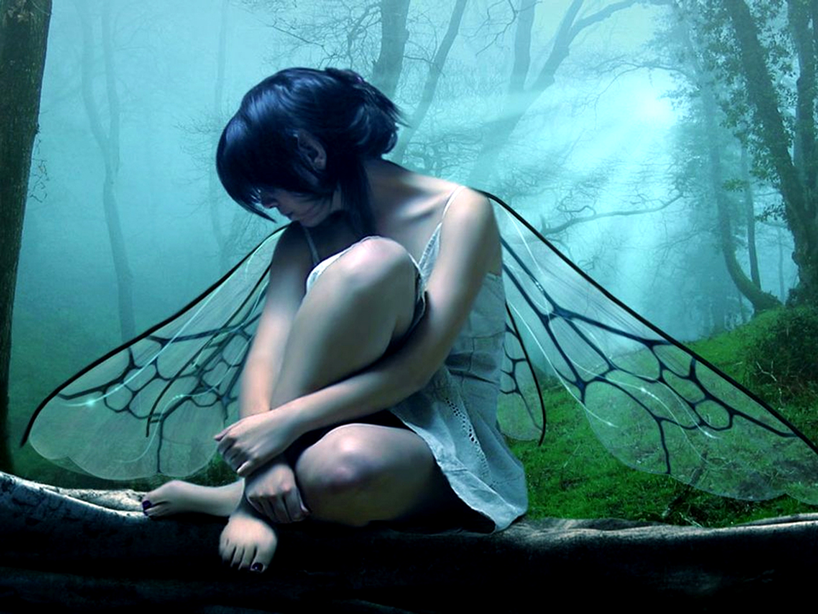 fairy, fantasy, wings Full HD