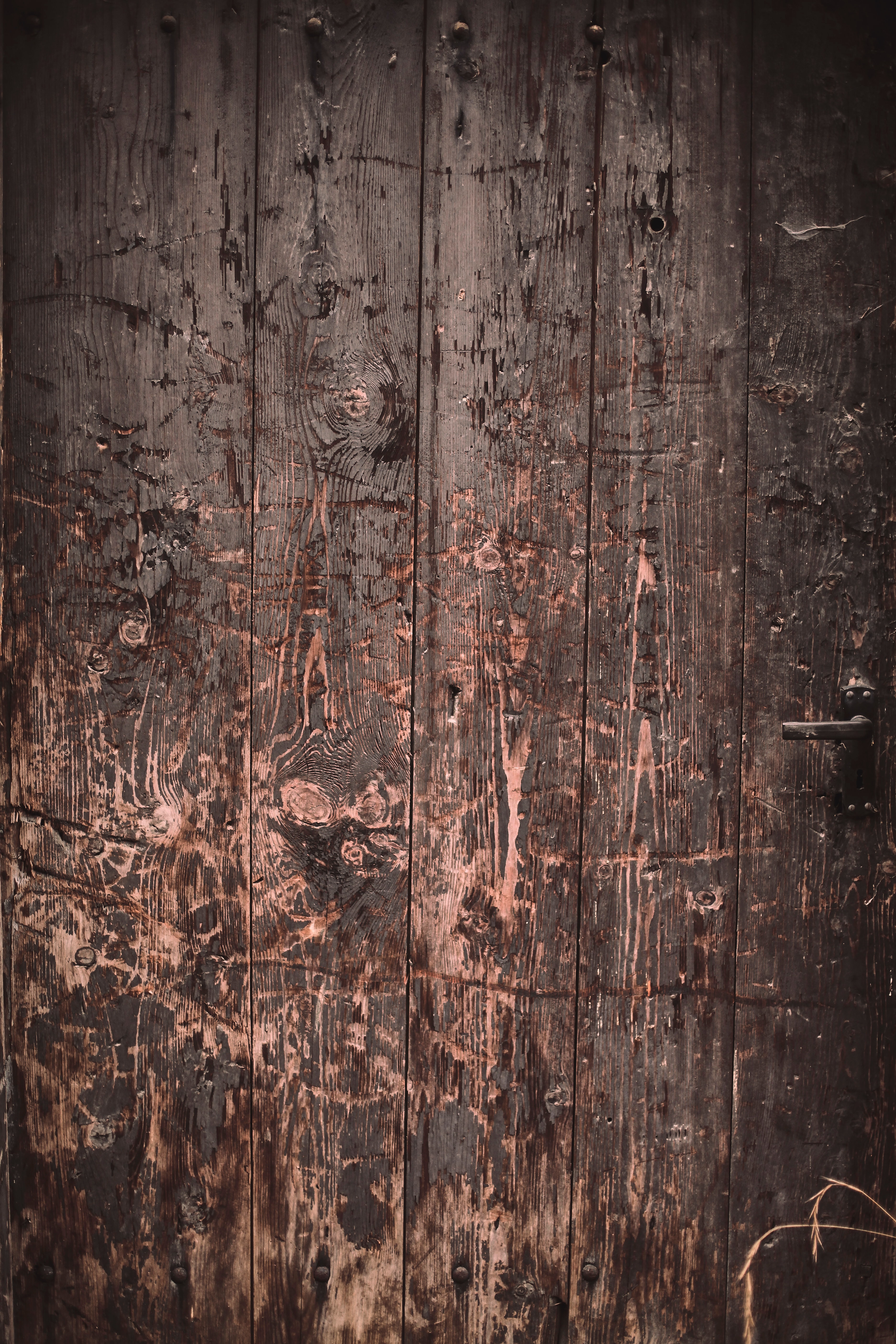 surface, wooden, textures, wood collection of HD images