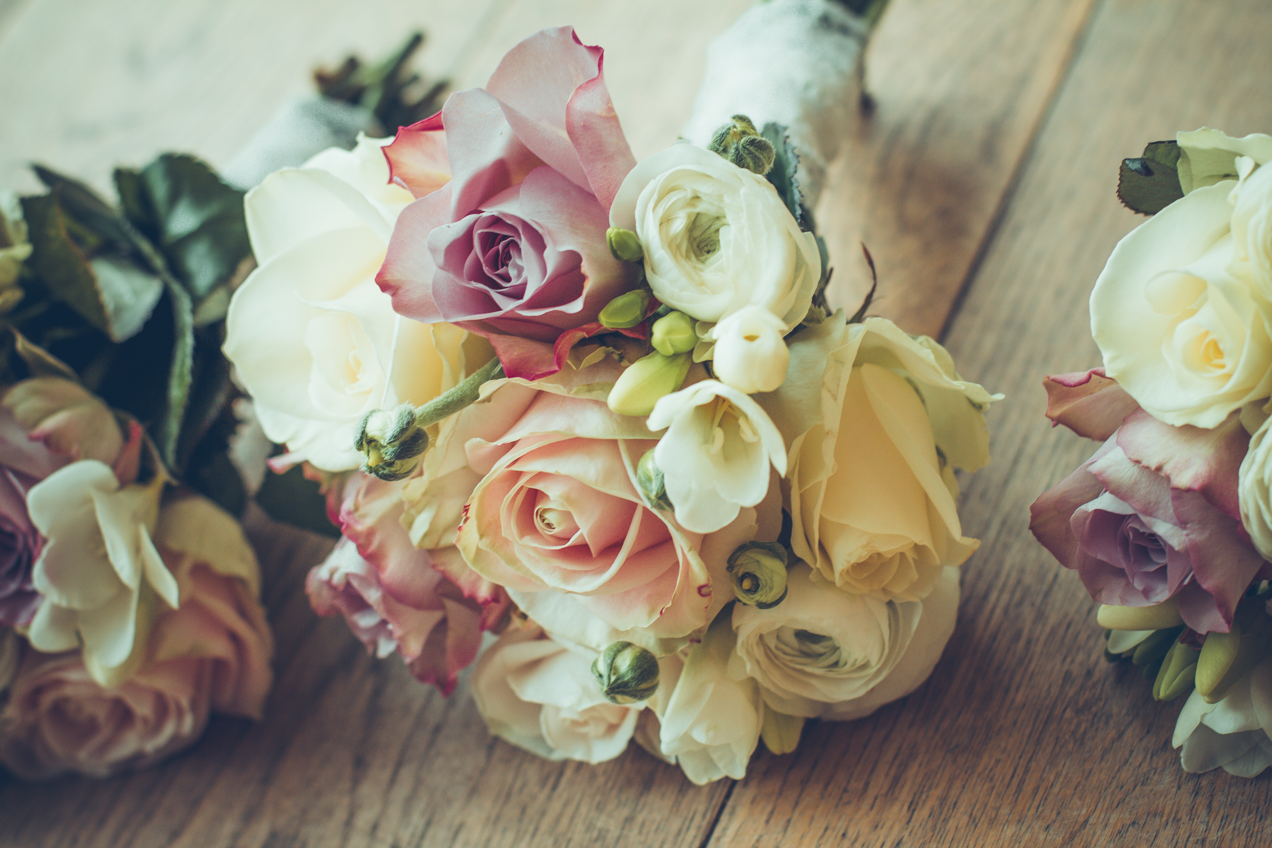 typography, roses, flowers, composition Vertical Wallpapers