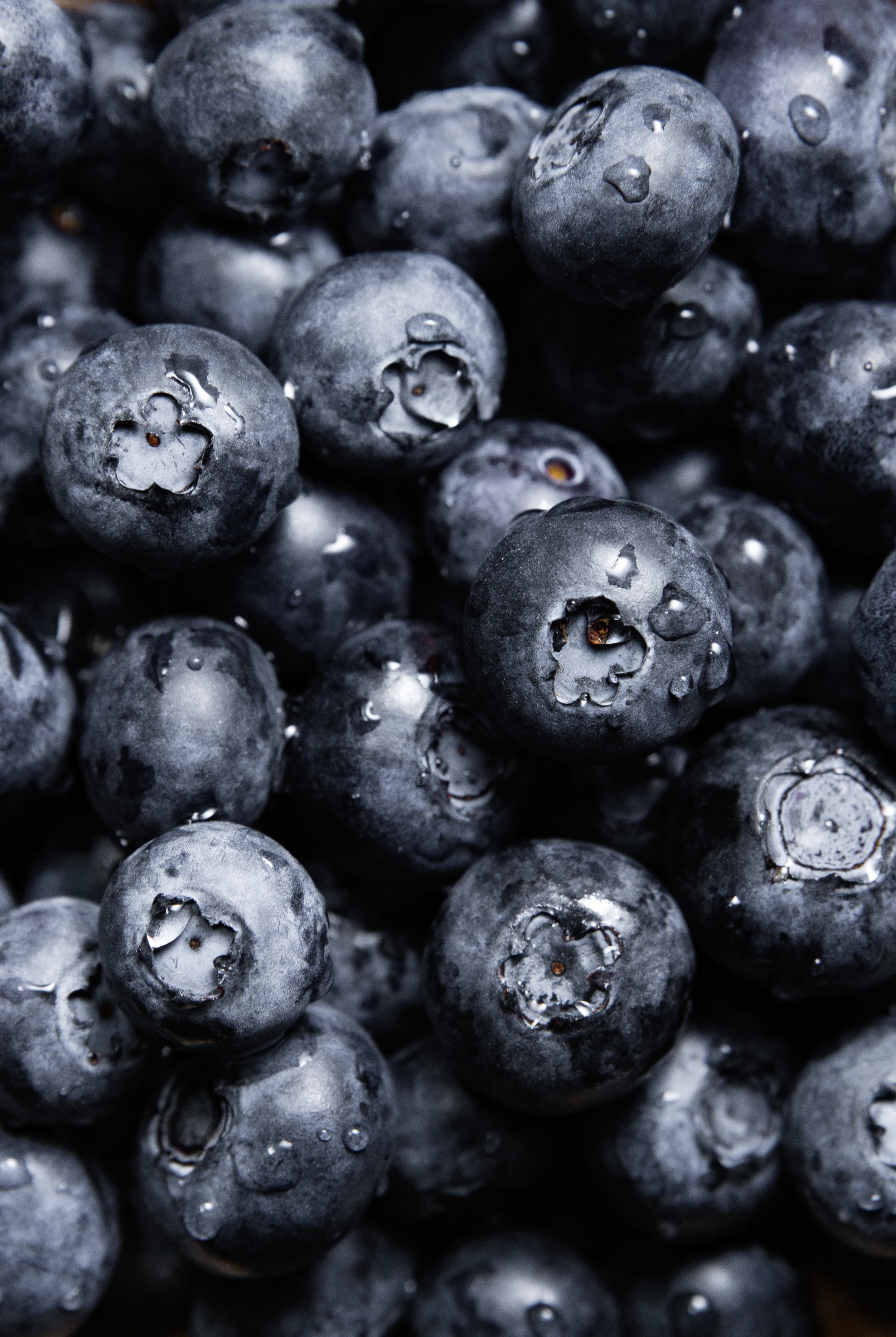 136043 Bild herunterladen lebensmittel, blueberry, blaubeeren, drops, berries - Hintergrundbilder und Bildschirmschoner kostenlos