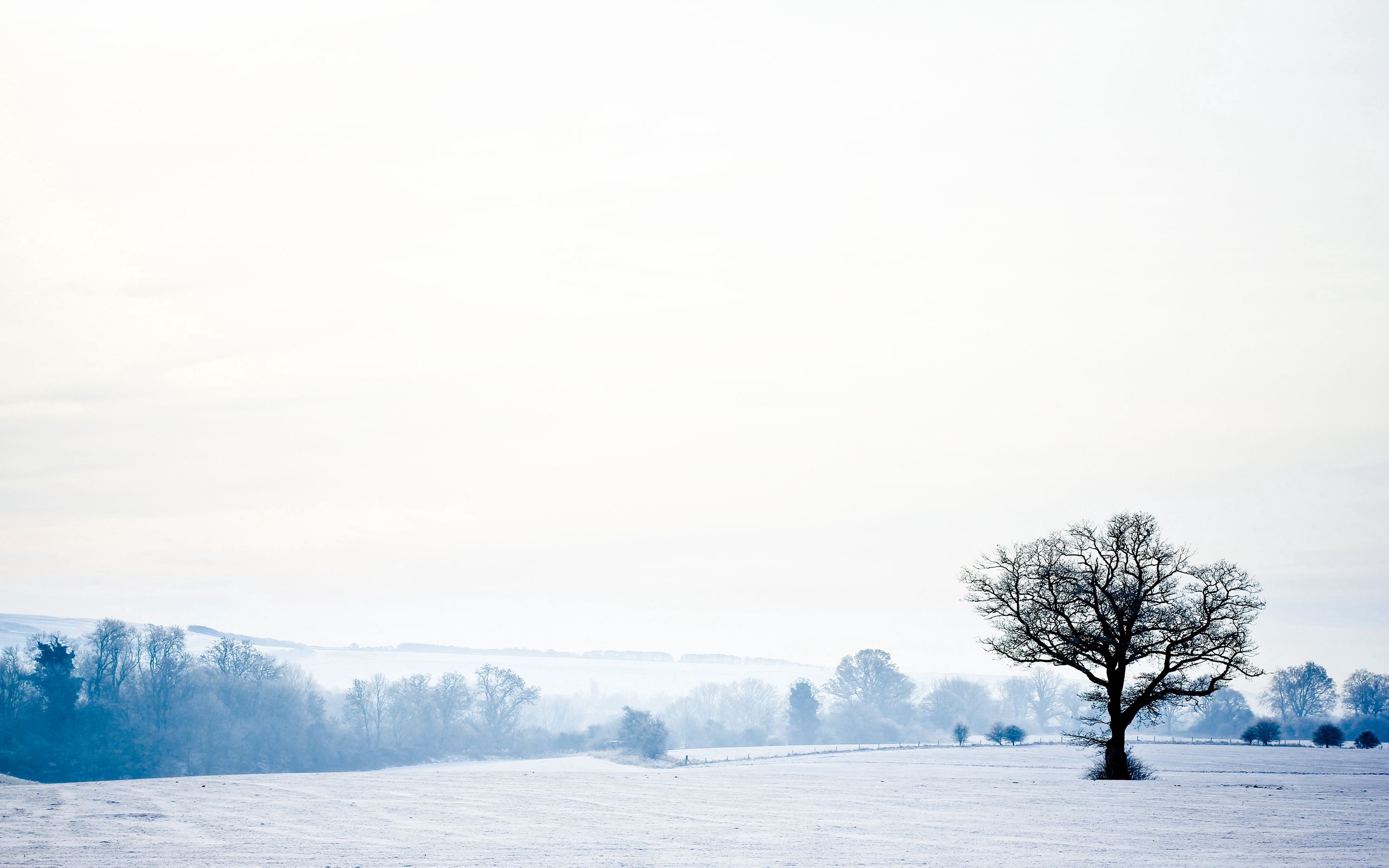 landscape, winter, nature, snow, wood, tree, lonely, cold, emptiness, void cell phone wallpapers